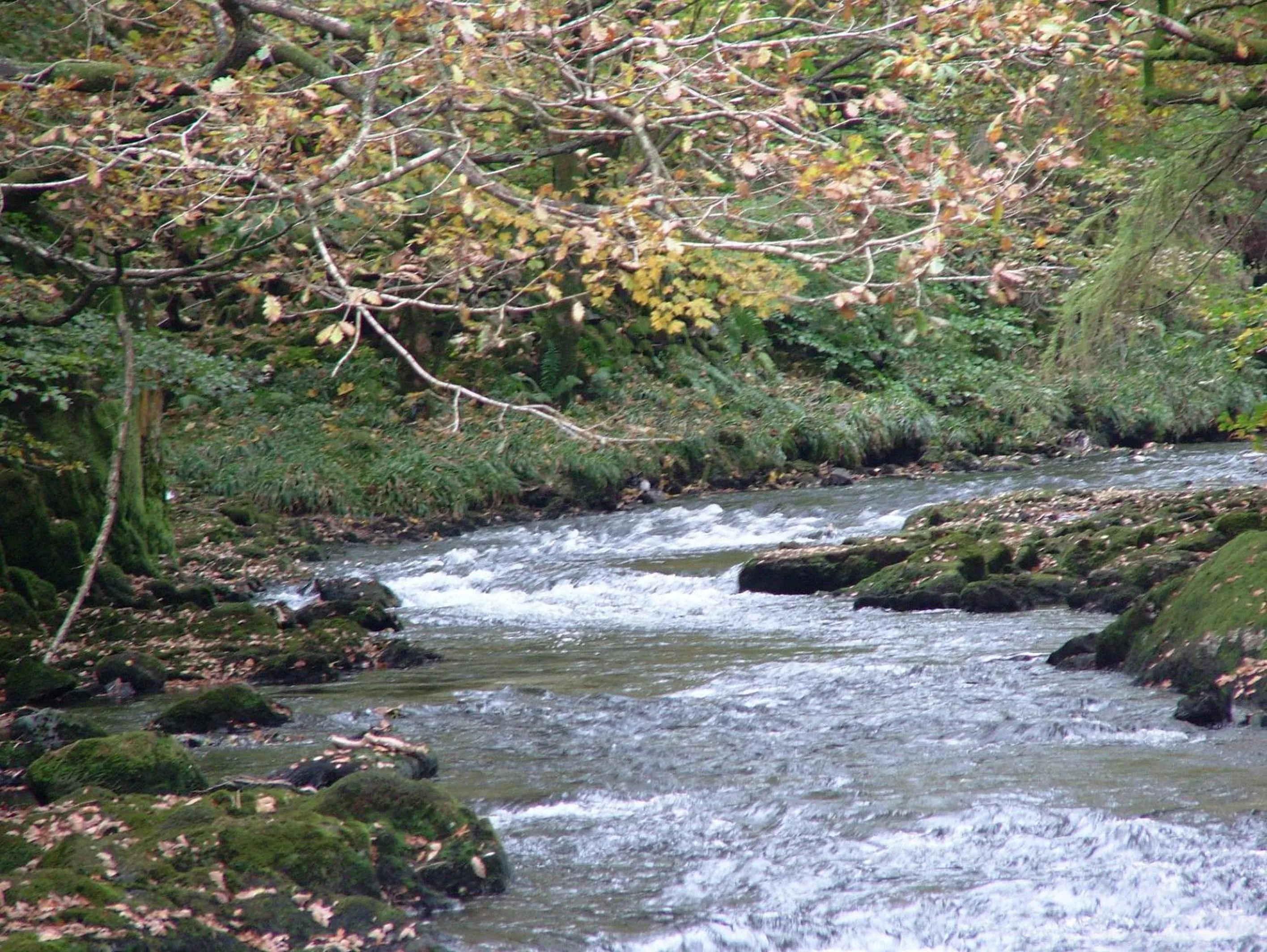 Natural landscape in Glencree