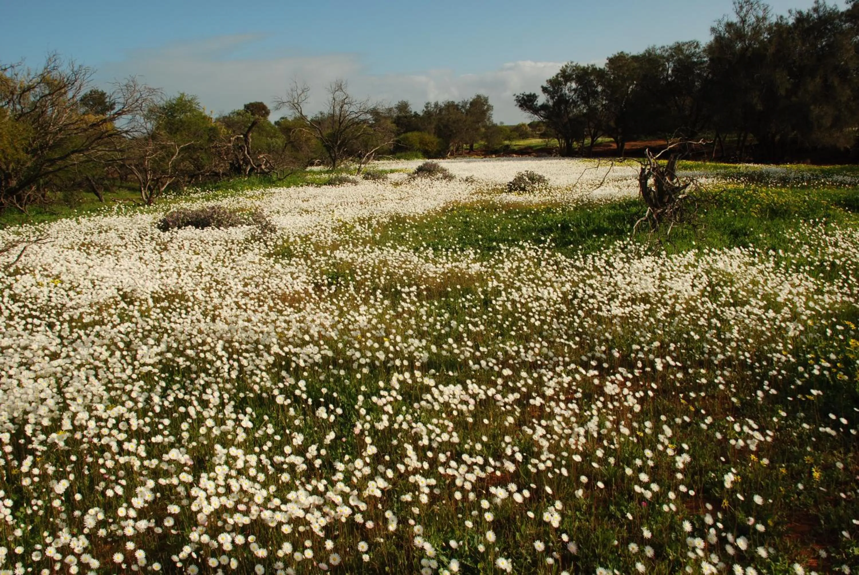 Area and facilities in Kalbarri Seafront Villas