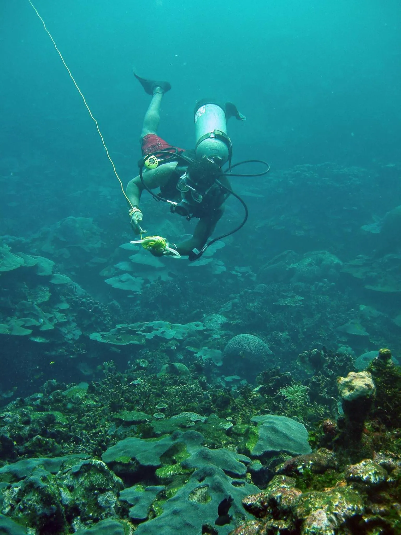 Diving in Hotel San Pedro de Majagua
