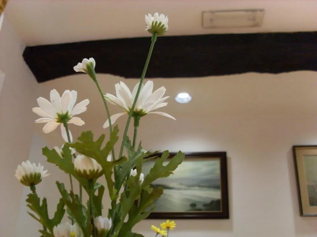 Decorative detail in Albergo Corona