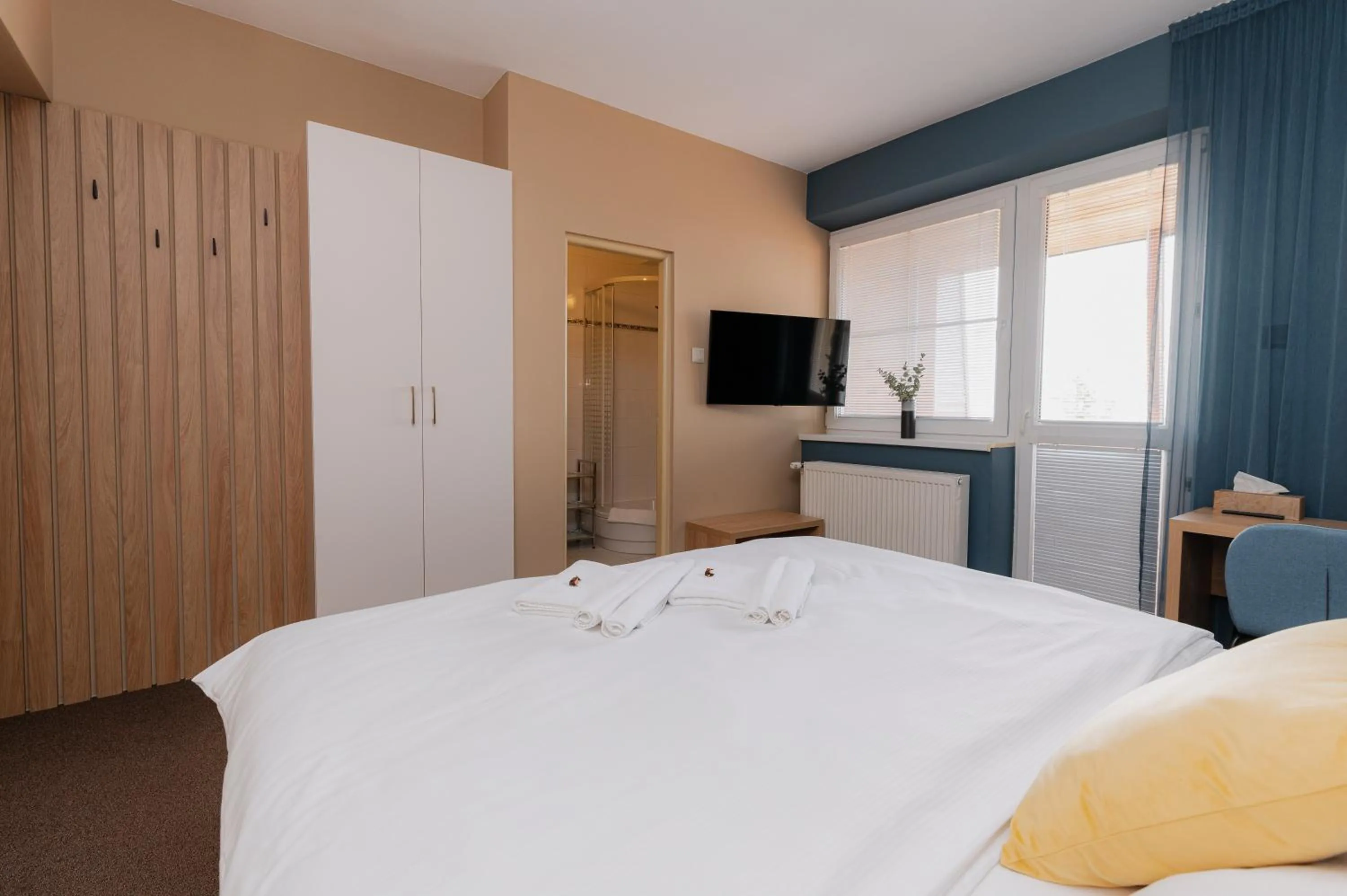 TV and multimedia, Bed in Penzion Tofi