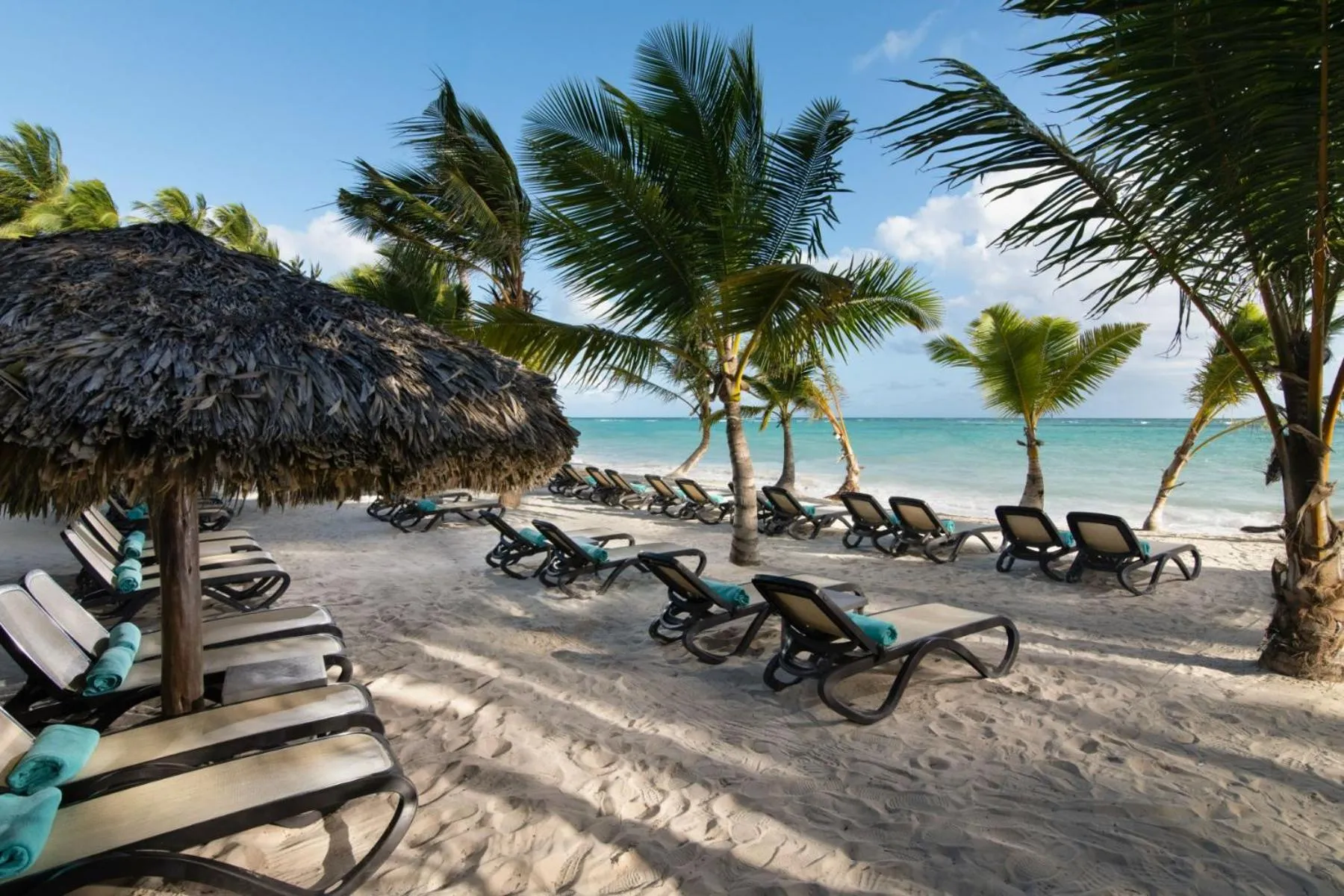 Beach in Impressive Premium Punta Cana - All Inclusive