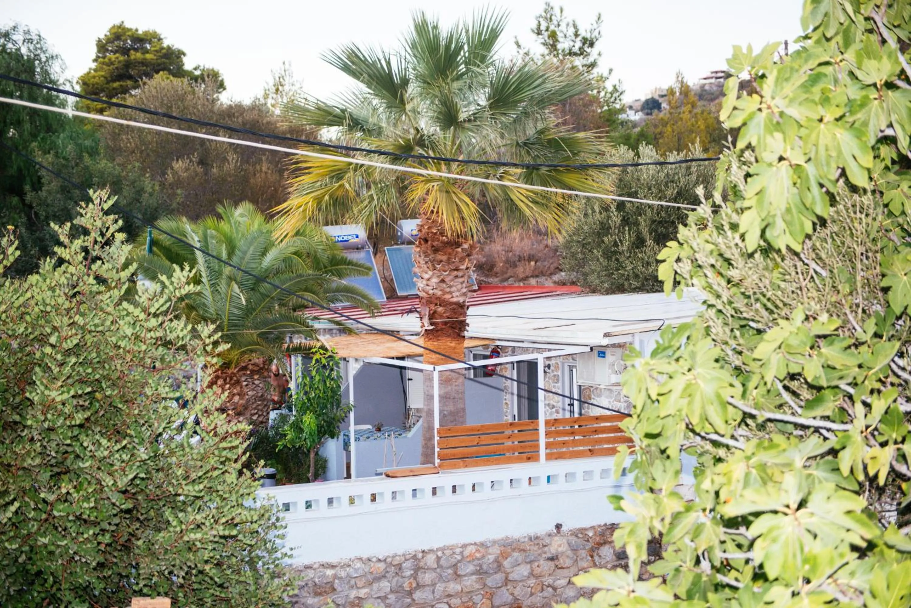 Ilias Studios sevasti