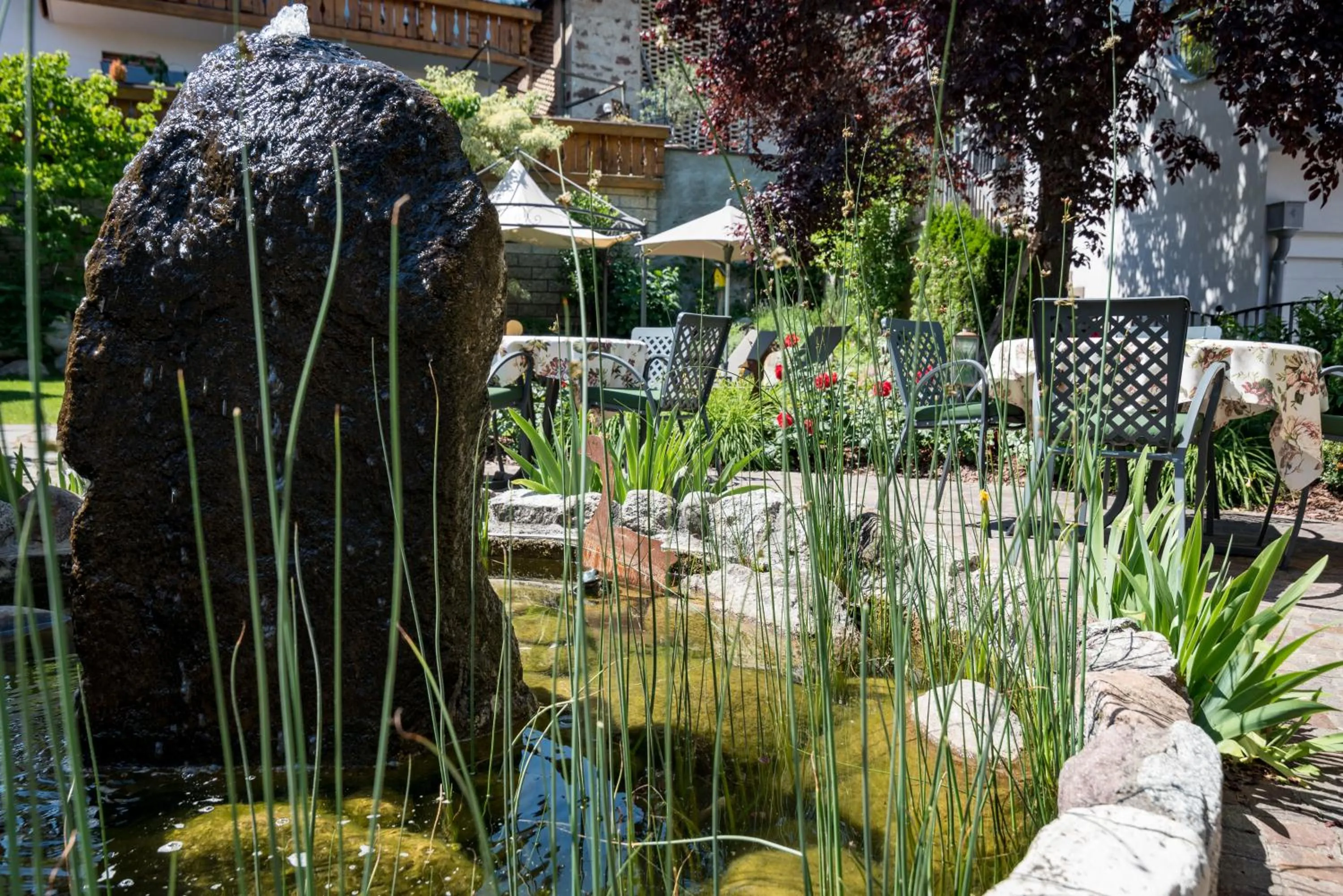 Property building in Hotel Zum Mohren