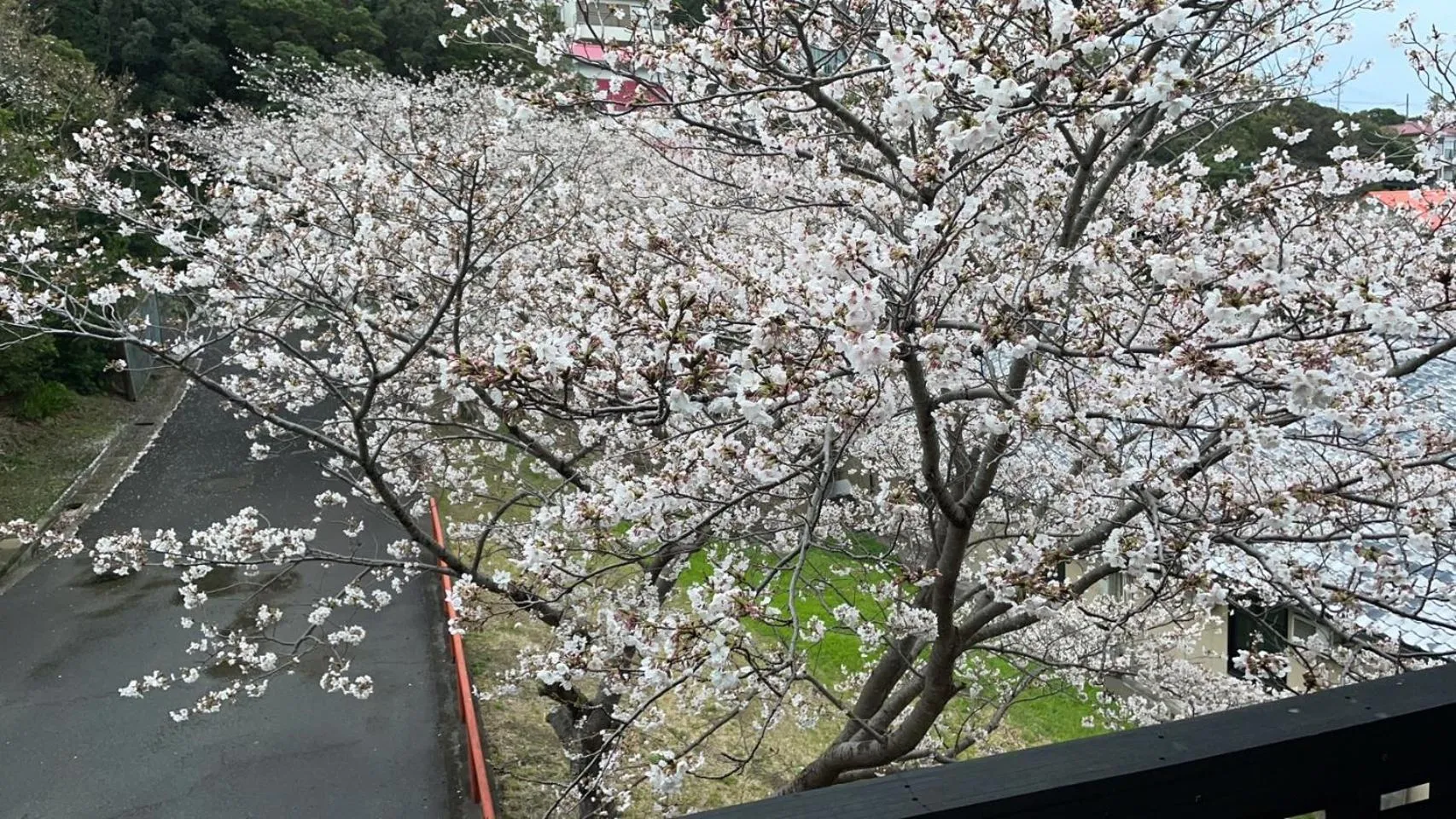 Property building in Shirahama Meiji Villa