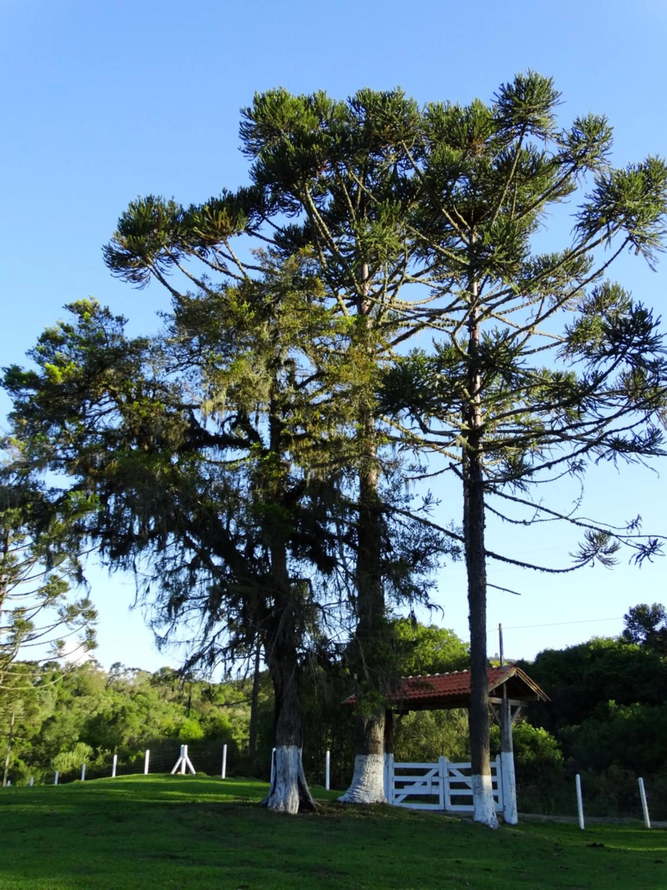 Facade/entrance in Pousada Recanto dos Pôneis Rio Rufino Urubici