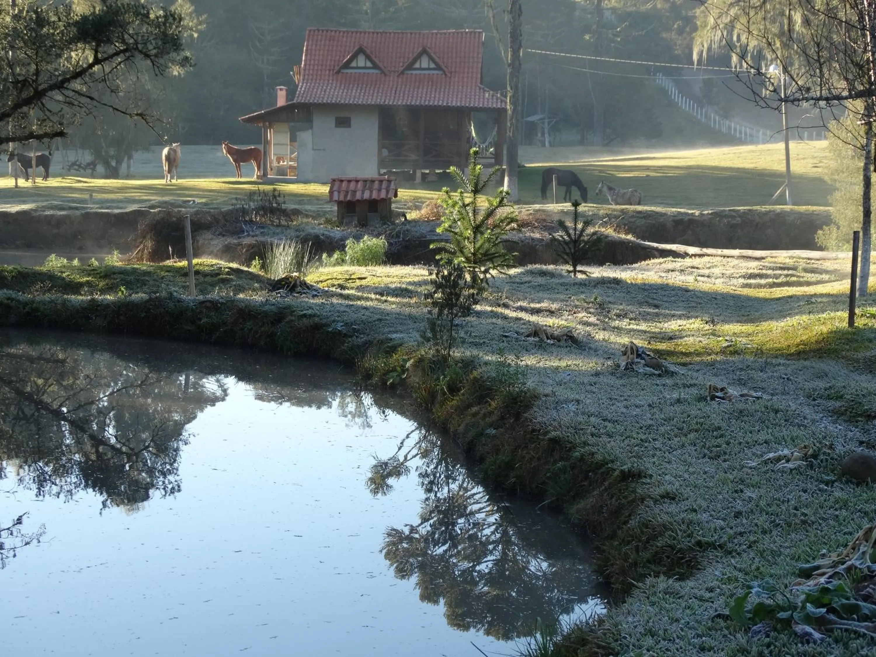 Natural landscape in Pousada Recanto dos Pôneis Rio Rufino Urubici