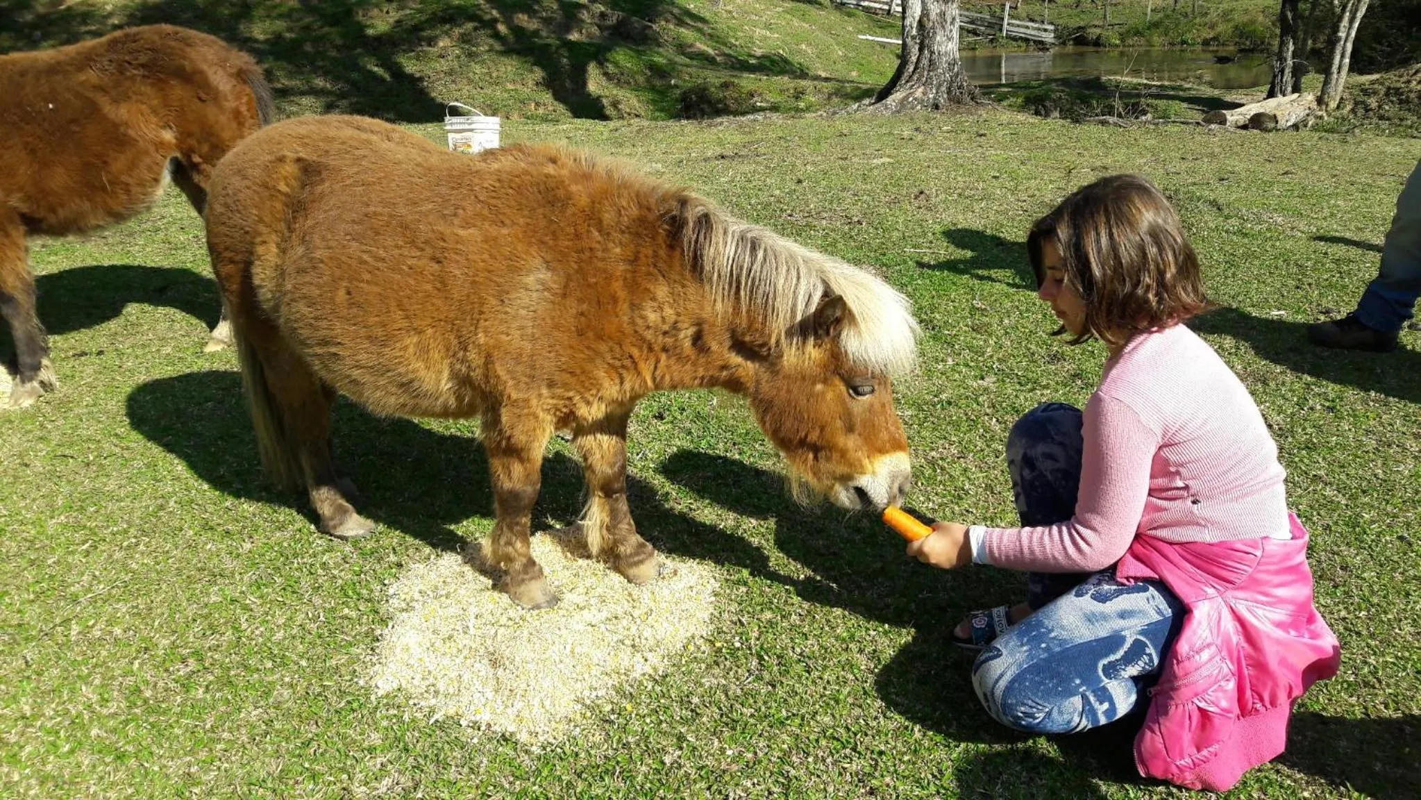 Activities in Pousada Recanto dos Pôneis Rio Rufino Urubici