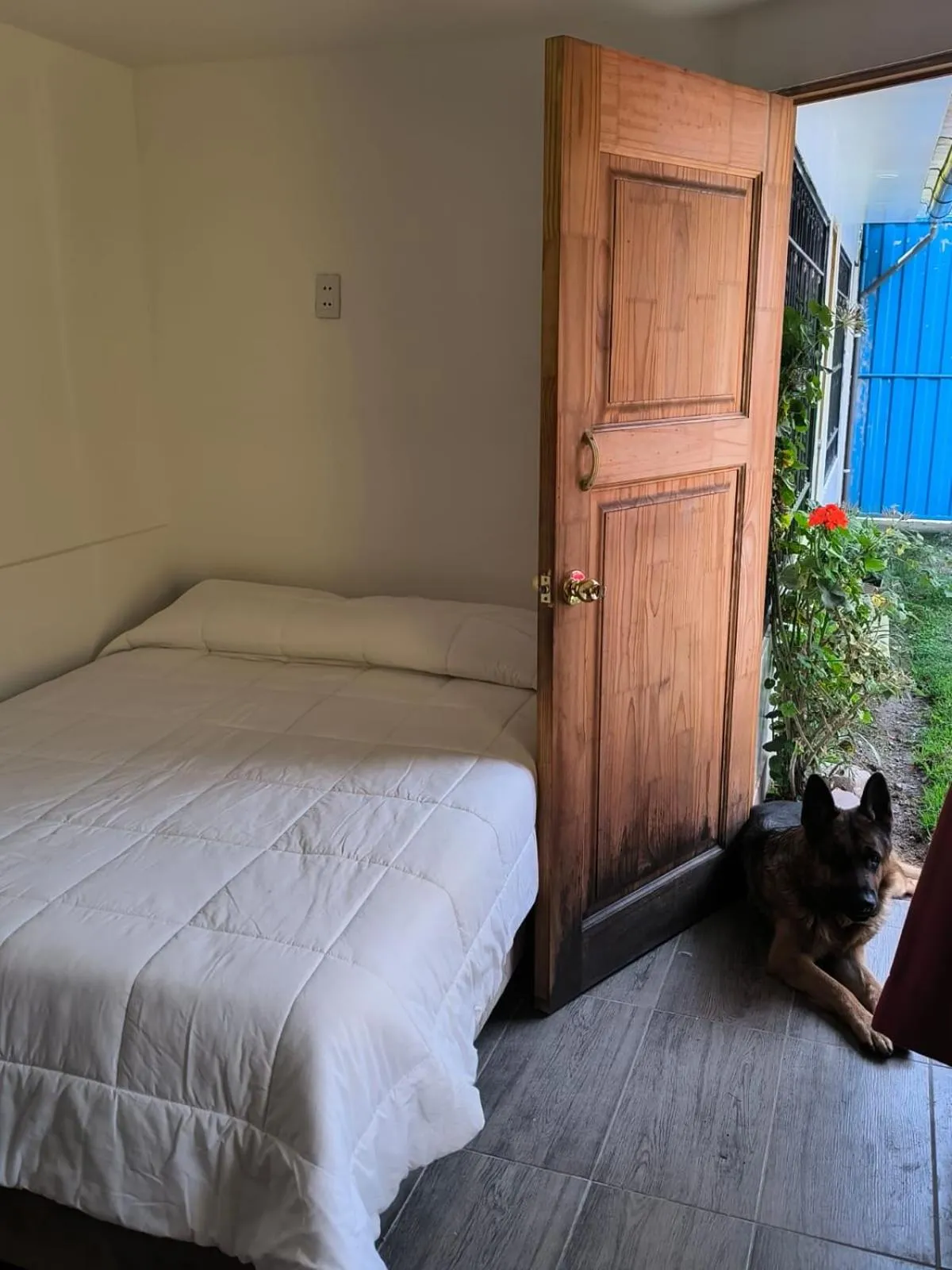 Bedroom, Bed in Schatzi Lodge