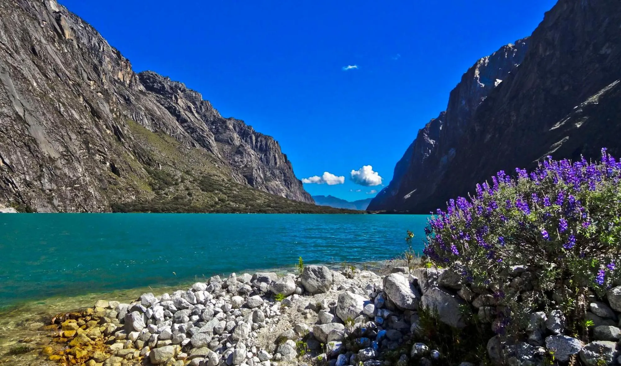 Property building in Schatzi Lodge