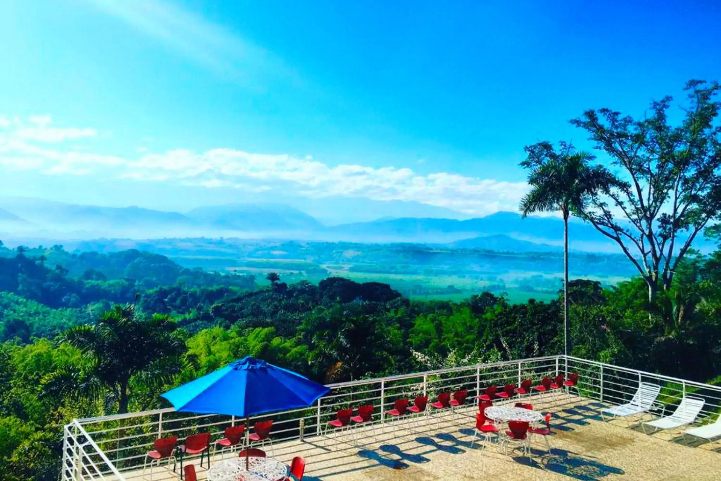 Garden view in Hotel Mirador Las Palmas Garden view in Hotel Mirador Las Palmas