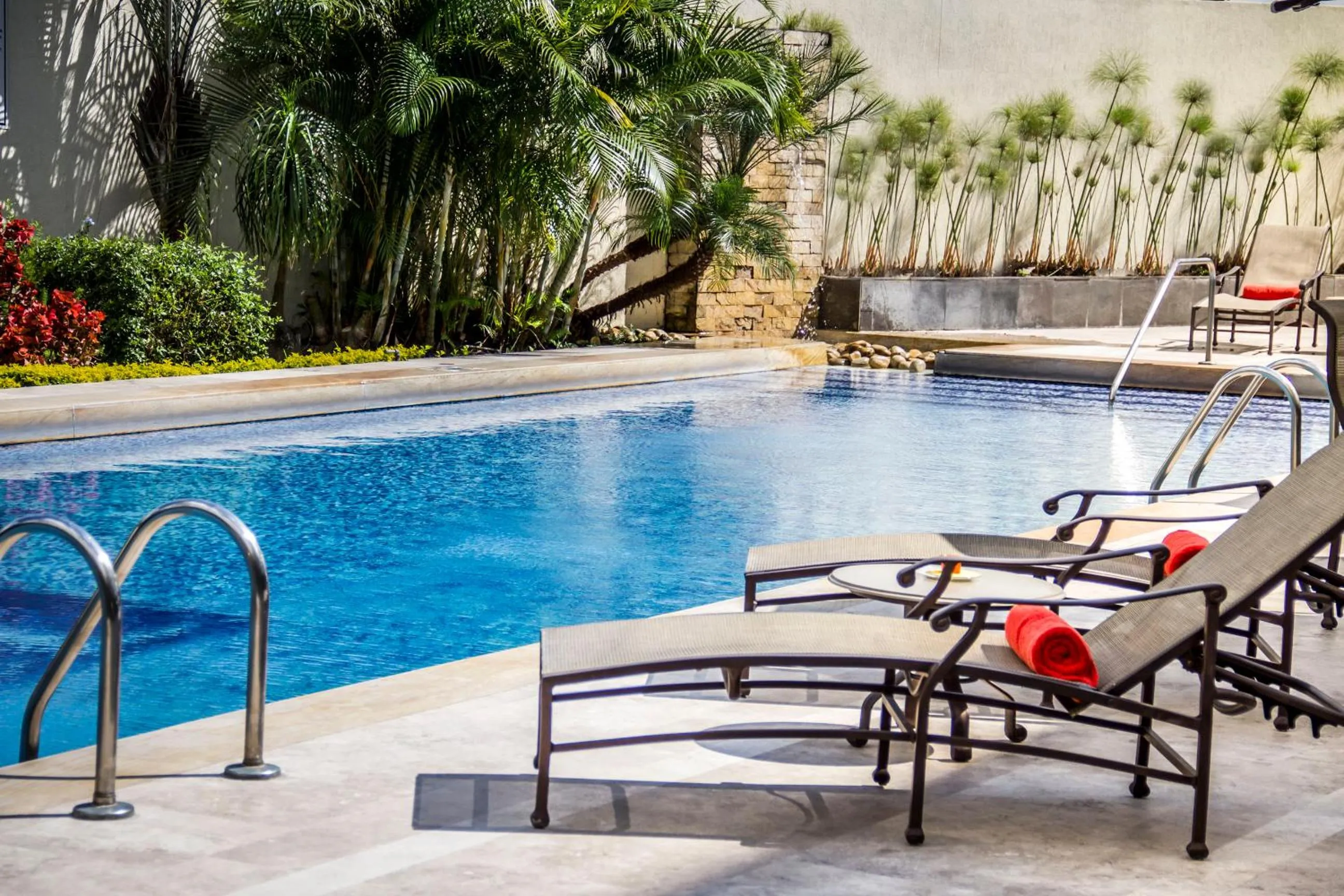 Garden in Lidotel San Cristóbal