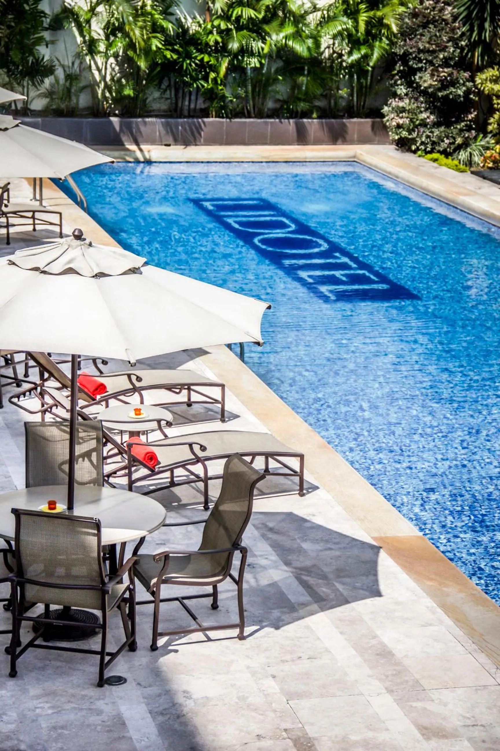 Garden in Lidotel San Cristóbal