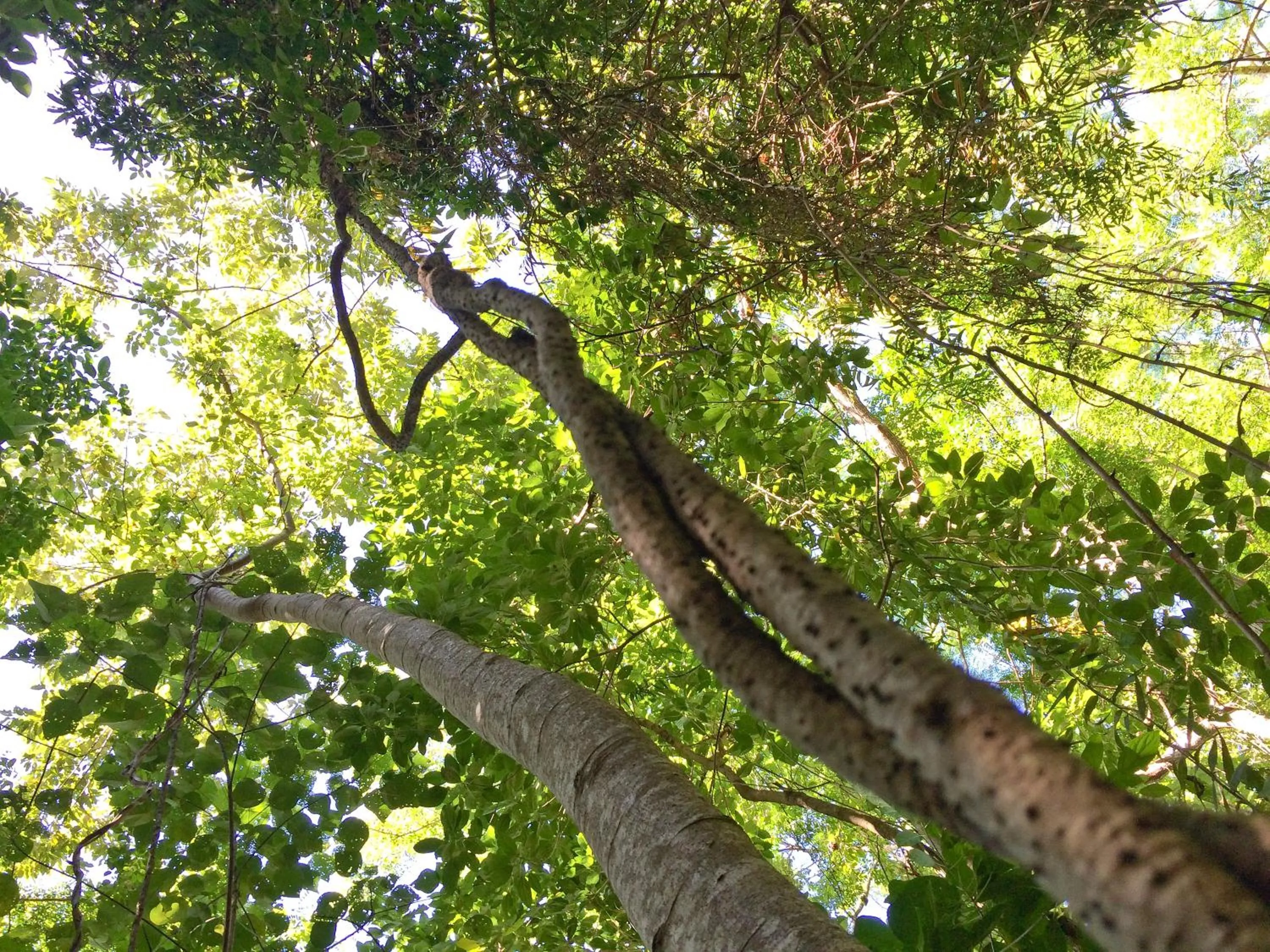 Day in Roydon Beachfront Apartments