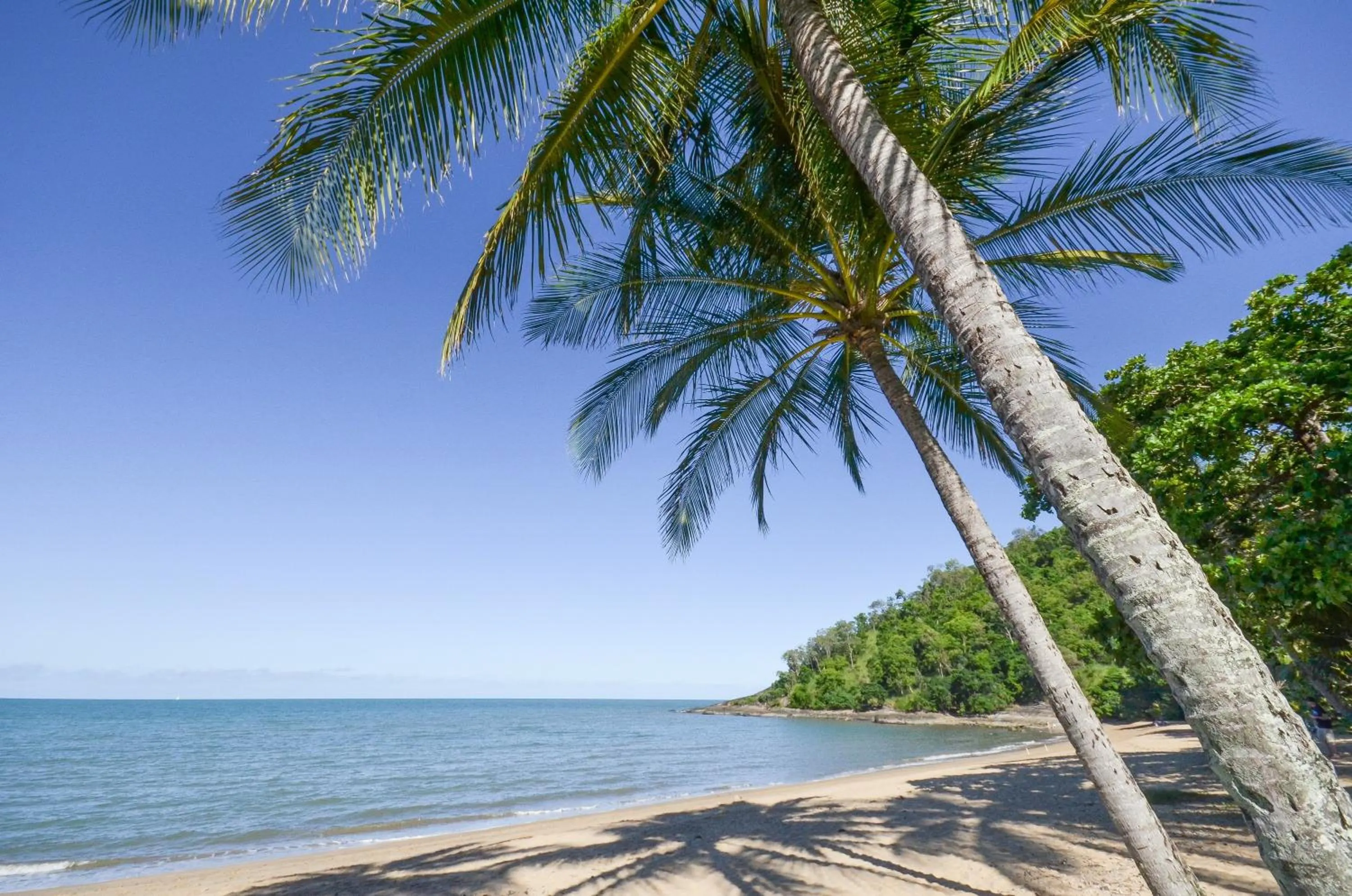 Beach in Roydon Beachfront Apartments