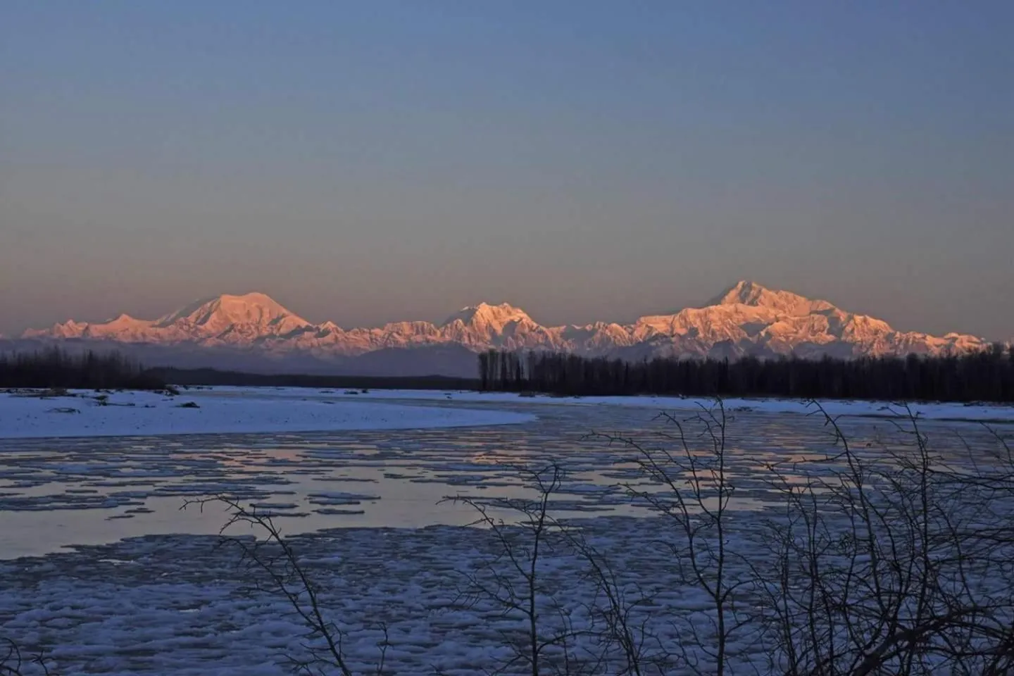 Talkeetna Fireweed Cabins