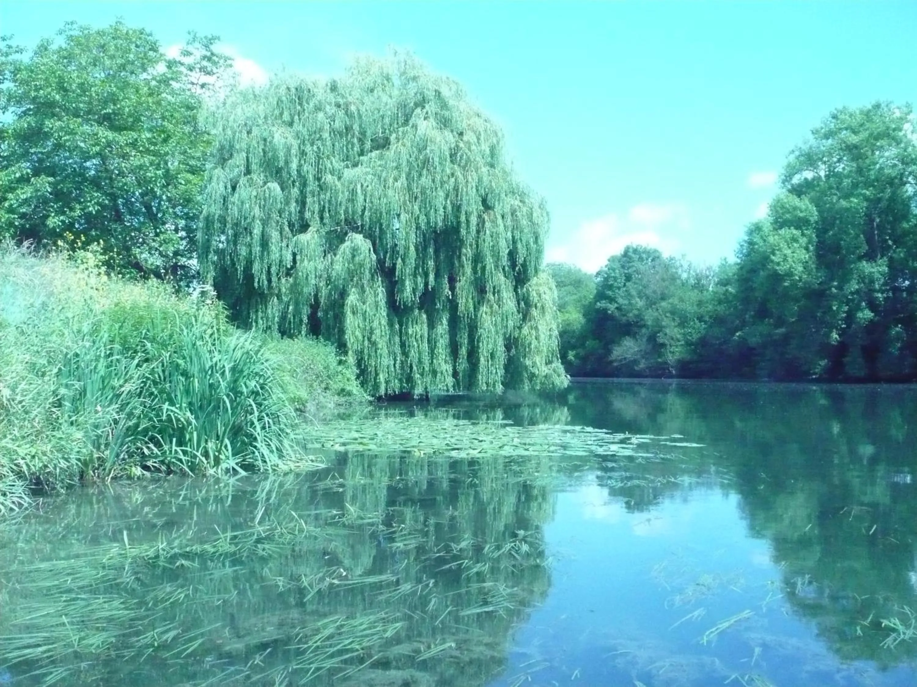 Fishing in Le Havre de Bennecourt