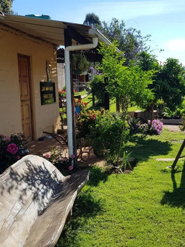 Garden in The little Club Getaway at The Hay Barn