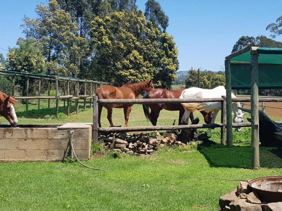 Animals in The little Club Getaway at The Hay Barn