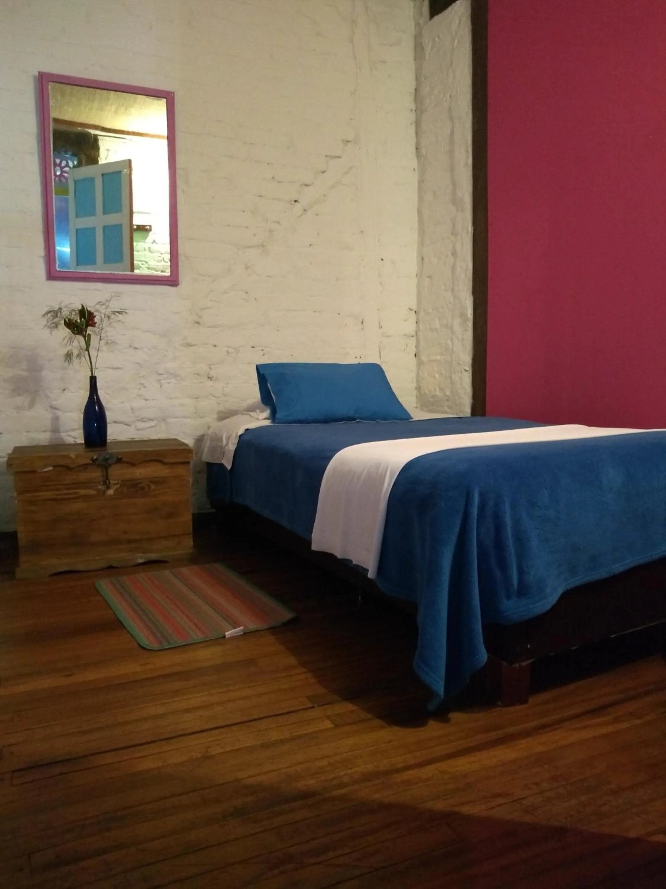 Single Room - single occupancy in Lima Limon Candelaria Hostel