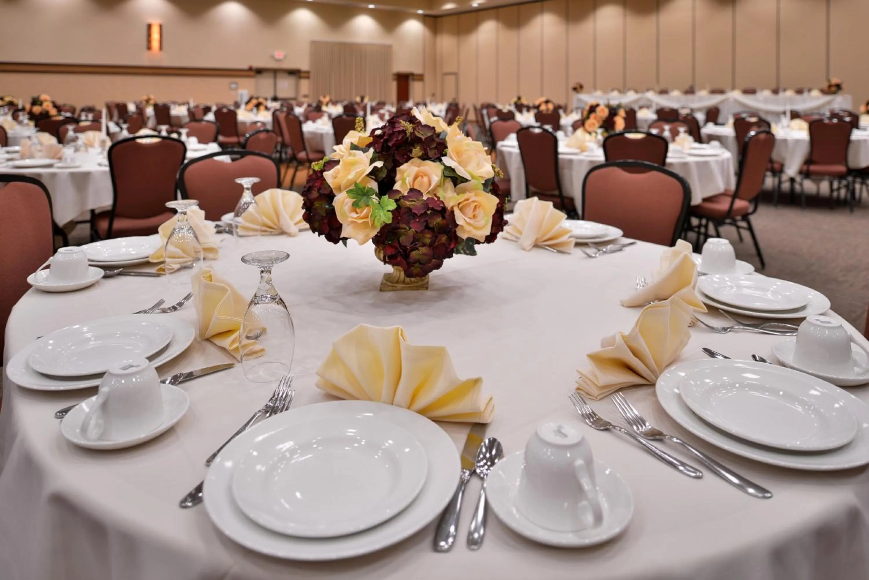 Meeting/conference room in Holiday Inn Stevens Point - Convention Center by IHG