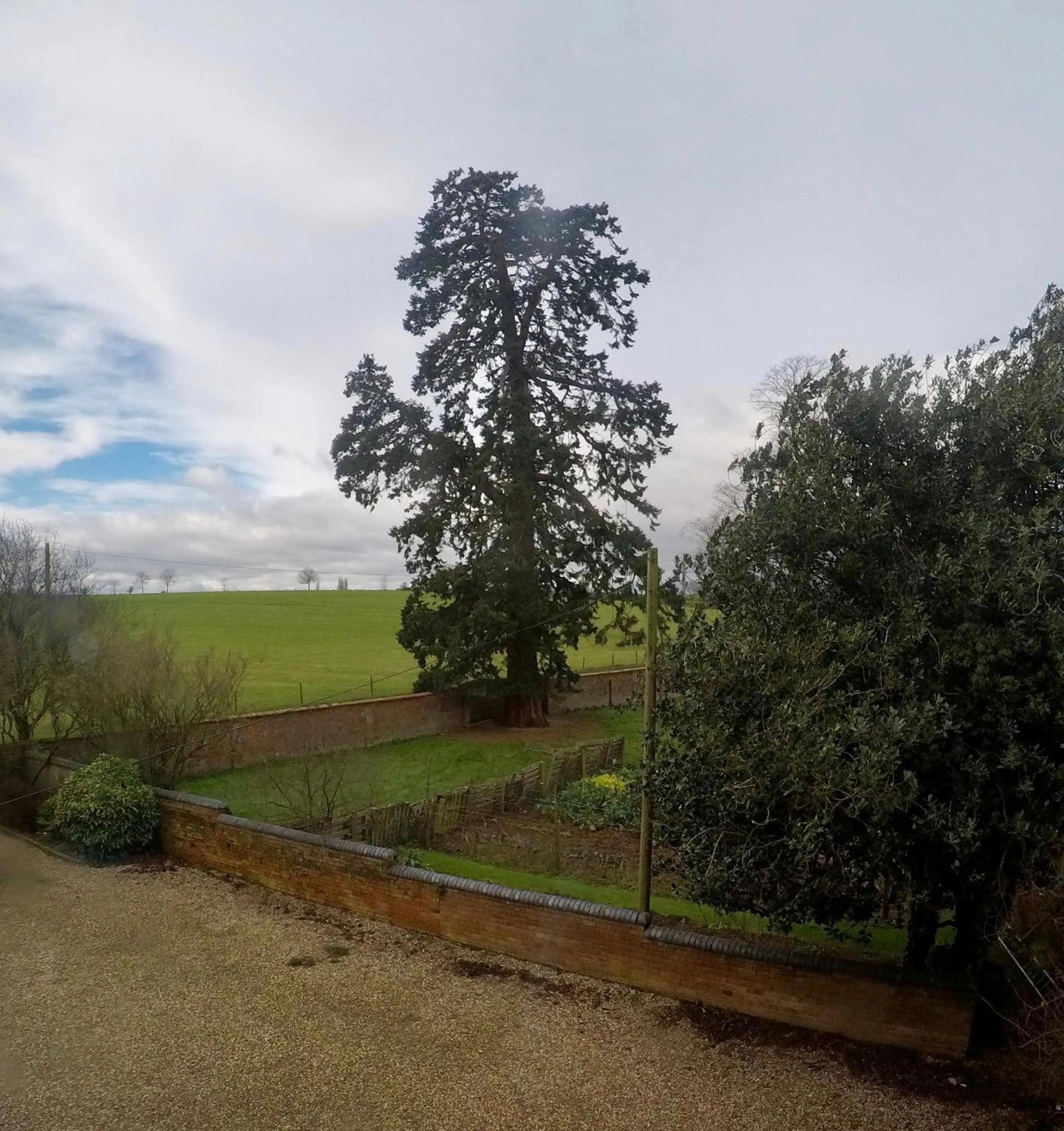 Natural landscape in Whitchurch Farm Guesthouse