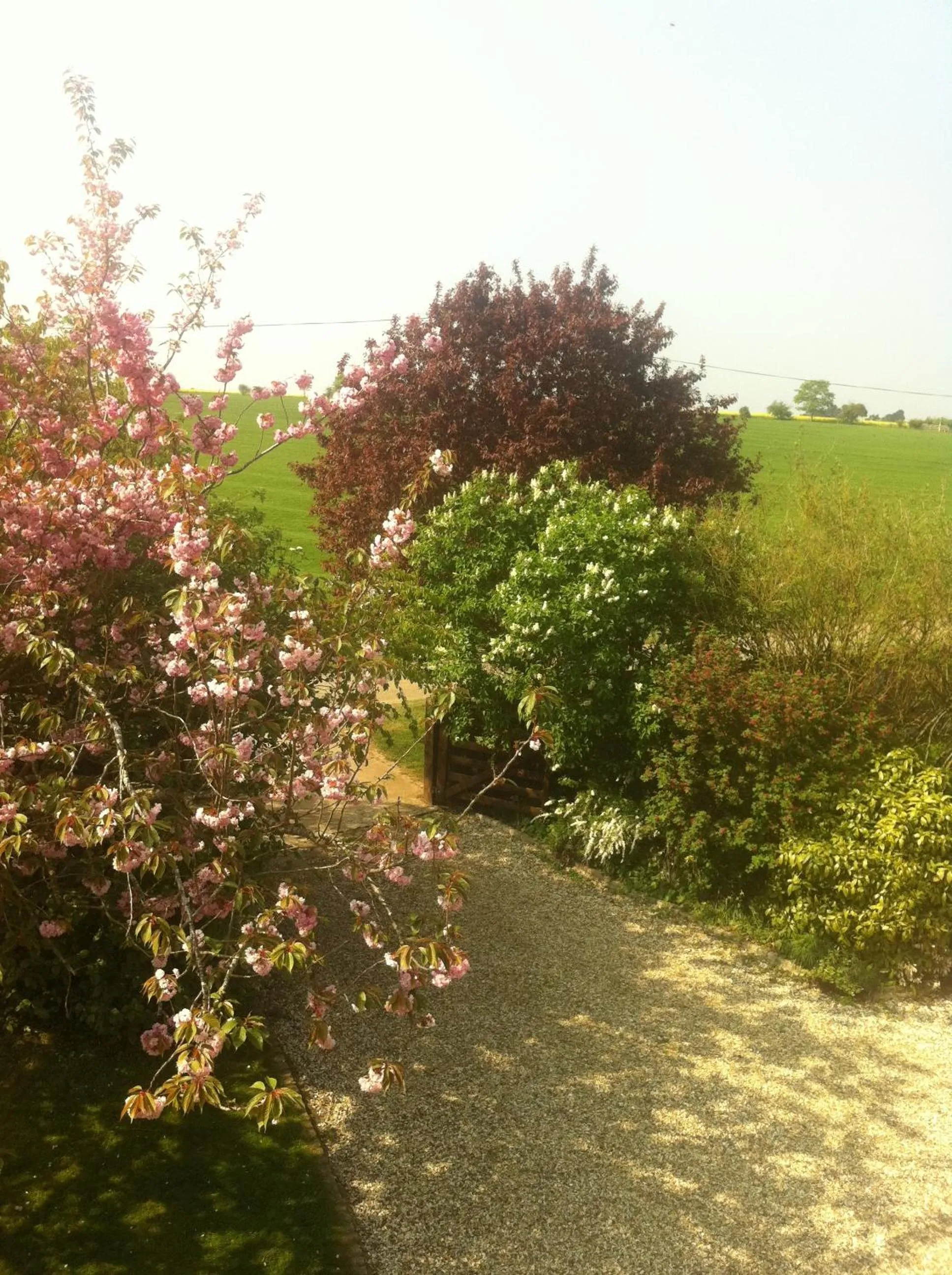 Spring in Whitchurch Farm Guesthouse