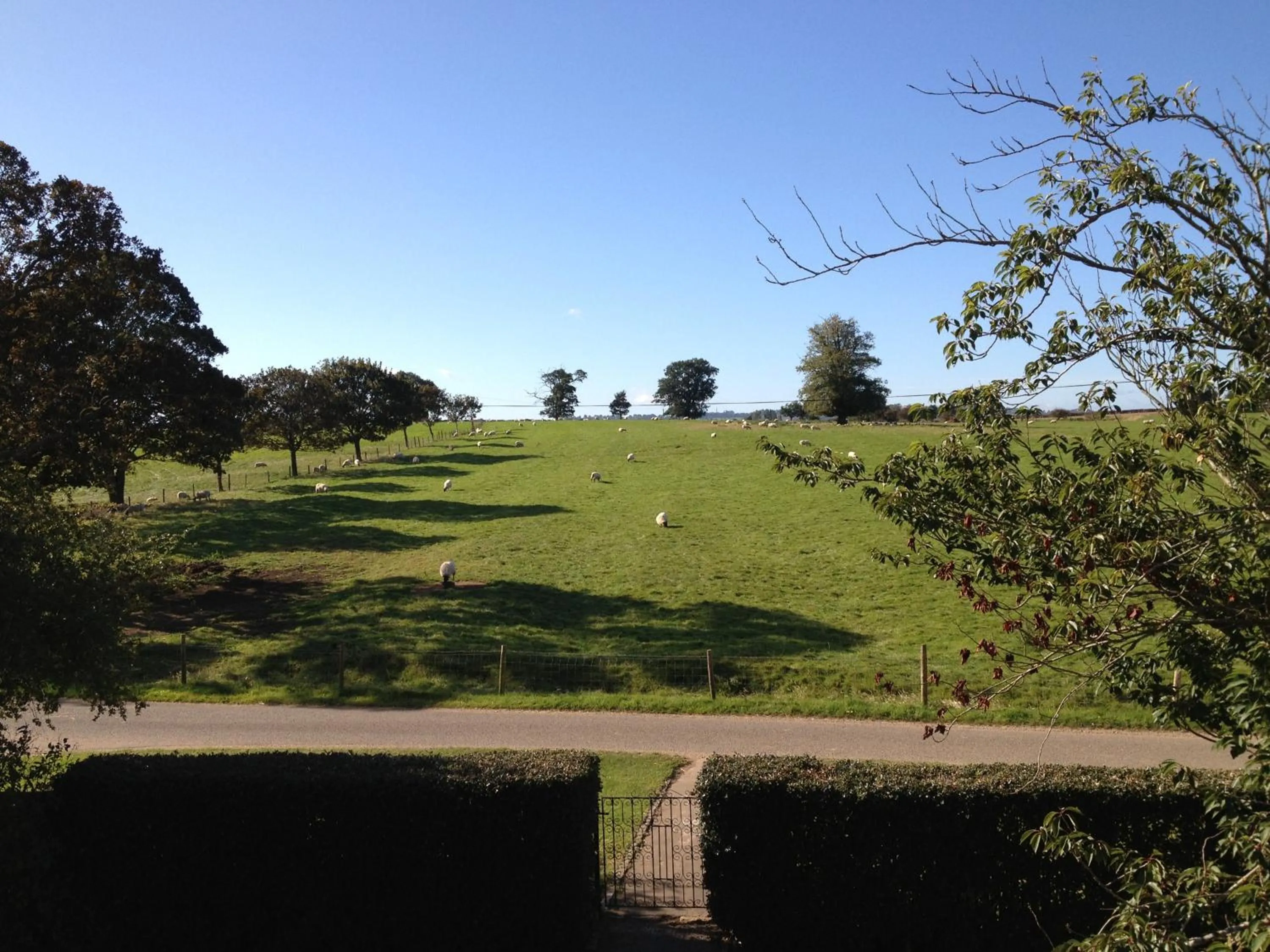 Garden view in Whitchurch Farm Guesthouse