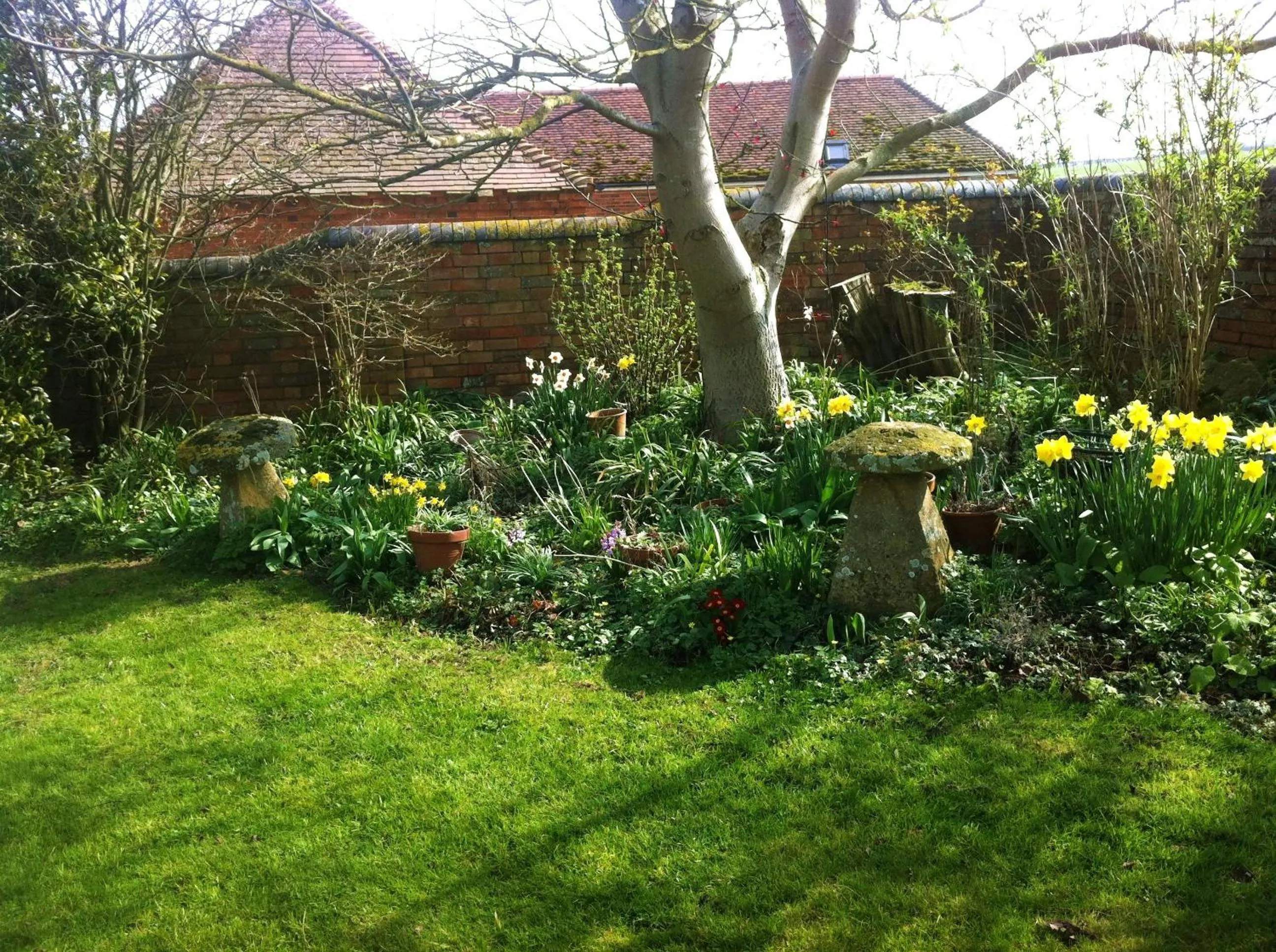 Spring in Whitchurch Farm Guesthouse