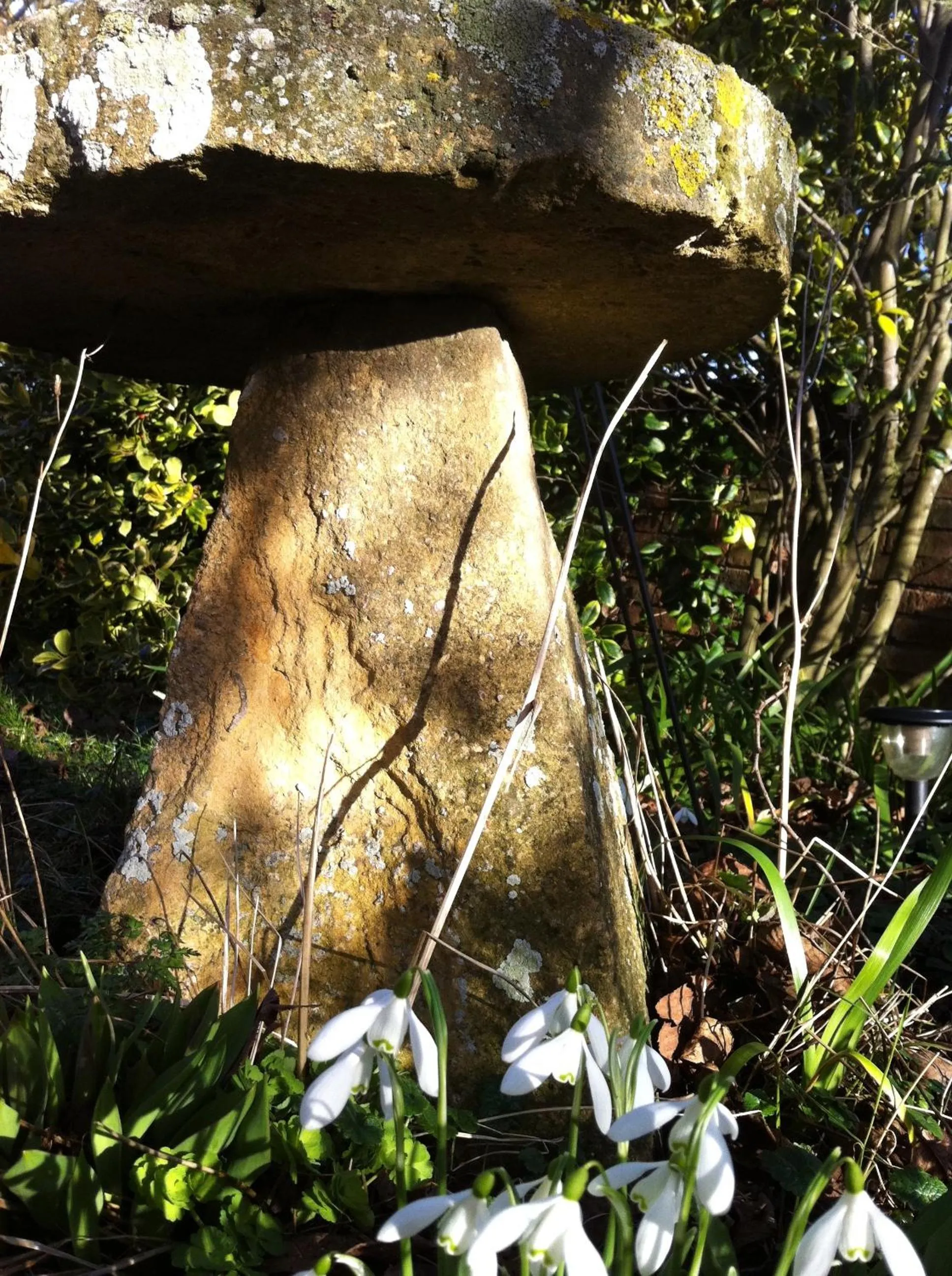 Other in Whitchurch Farm Guesthouse