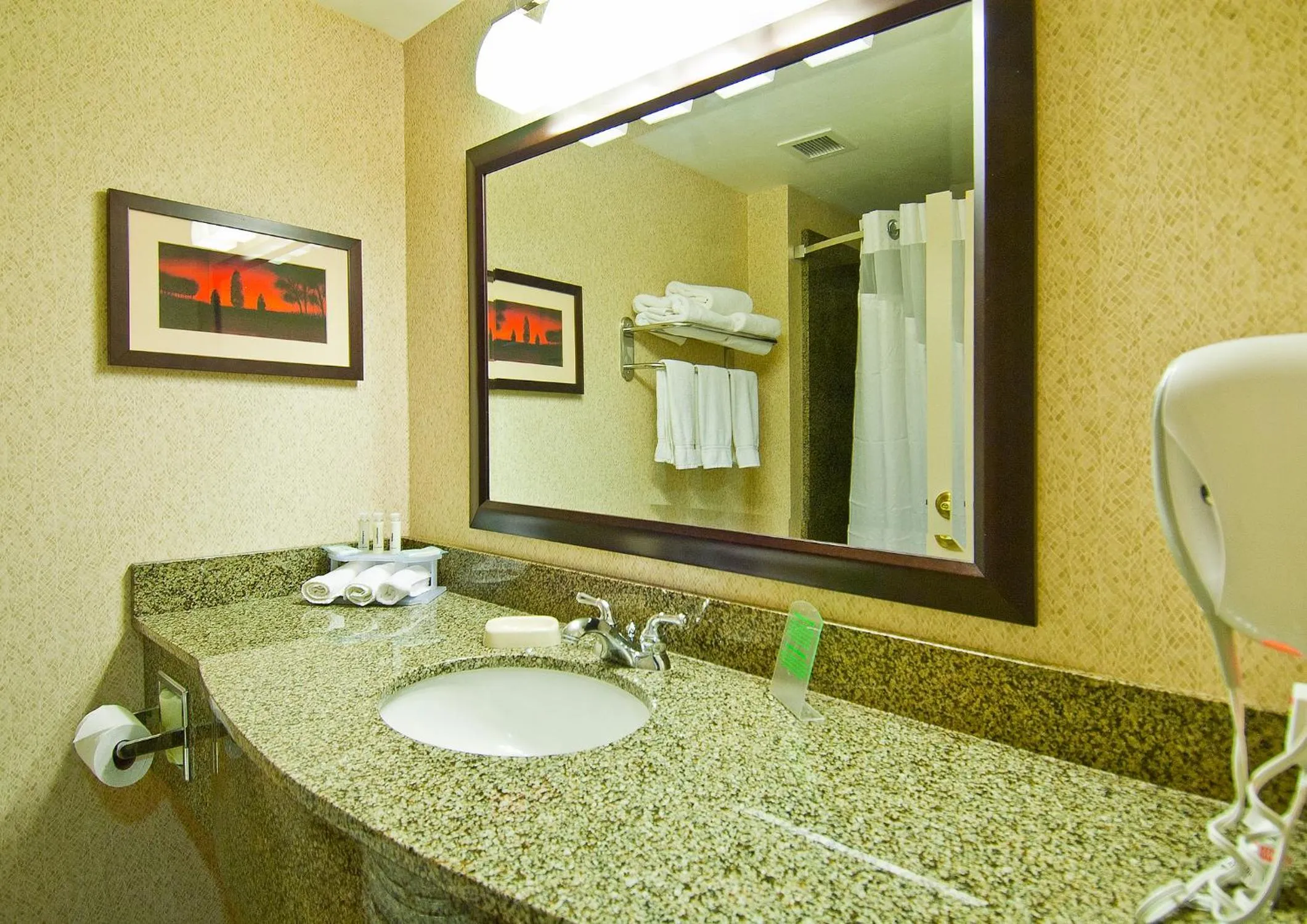 Bathroom in Holiday Inn Express & Suites Oro Valley-Tucson North by IHG