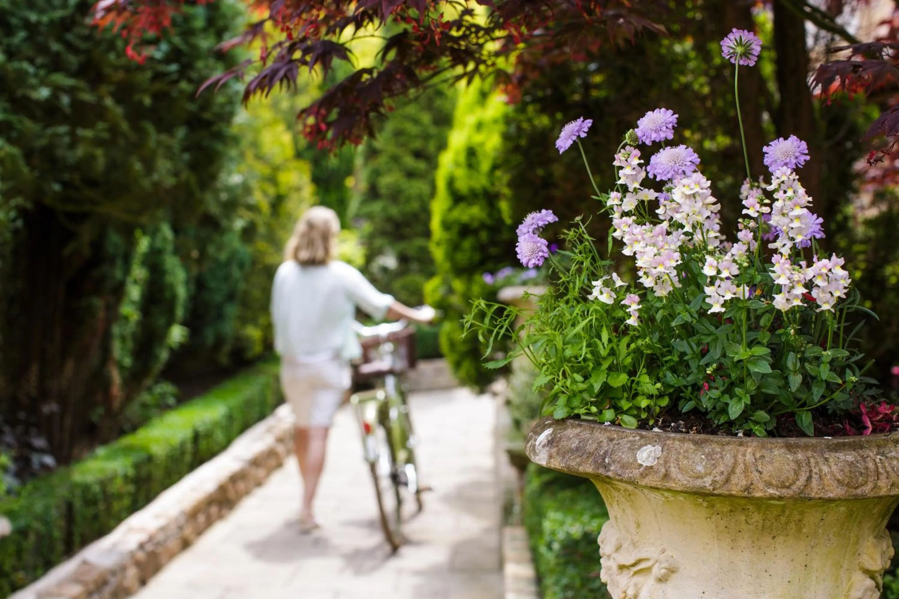Garden in Greenhills Country Hotel