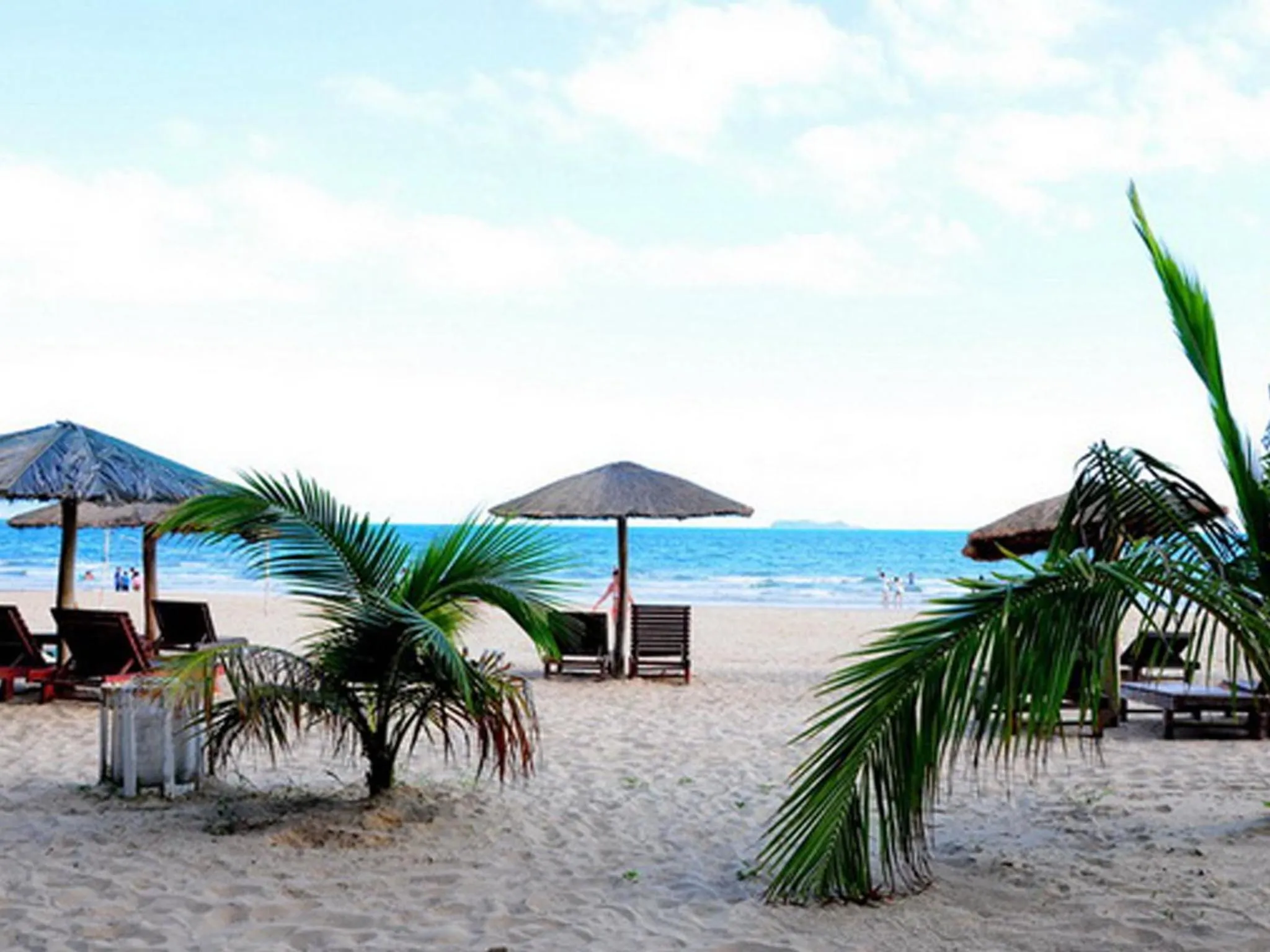 Beach in Palm Beach Resort & Spa