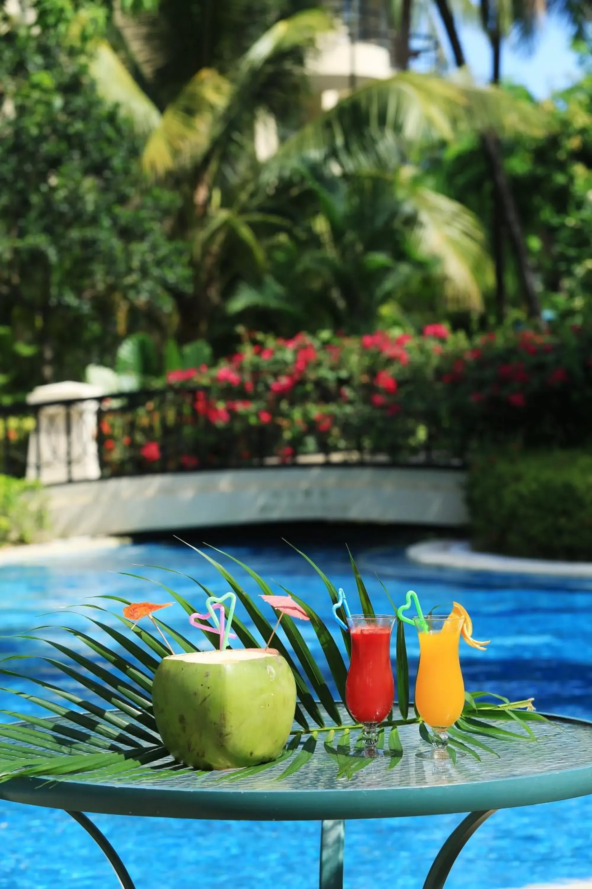 Swimming pool in Palm Beach Resort & Spa Swimming pool in Palm Beach Resort & Spa