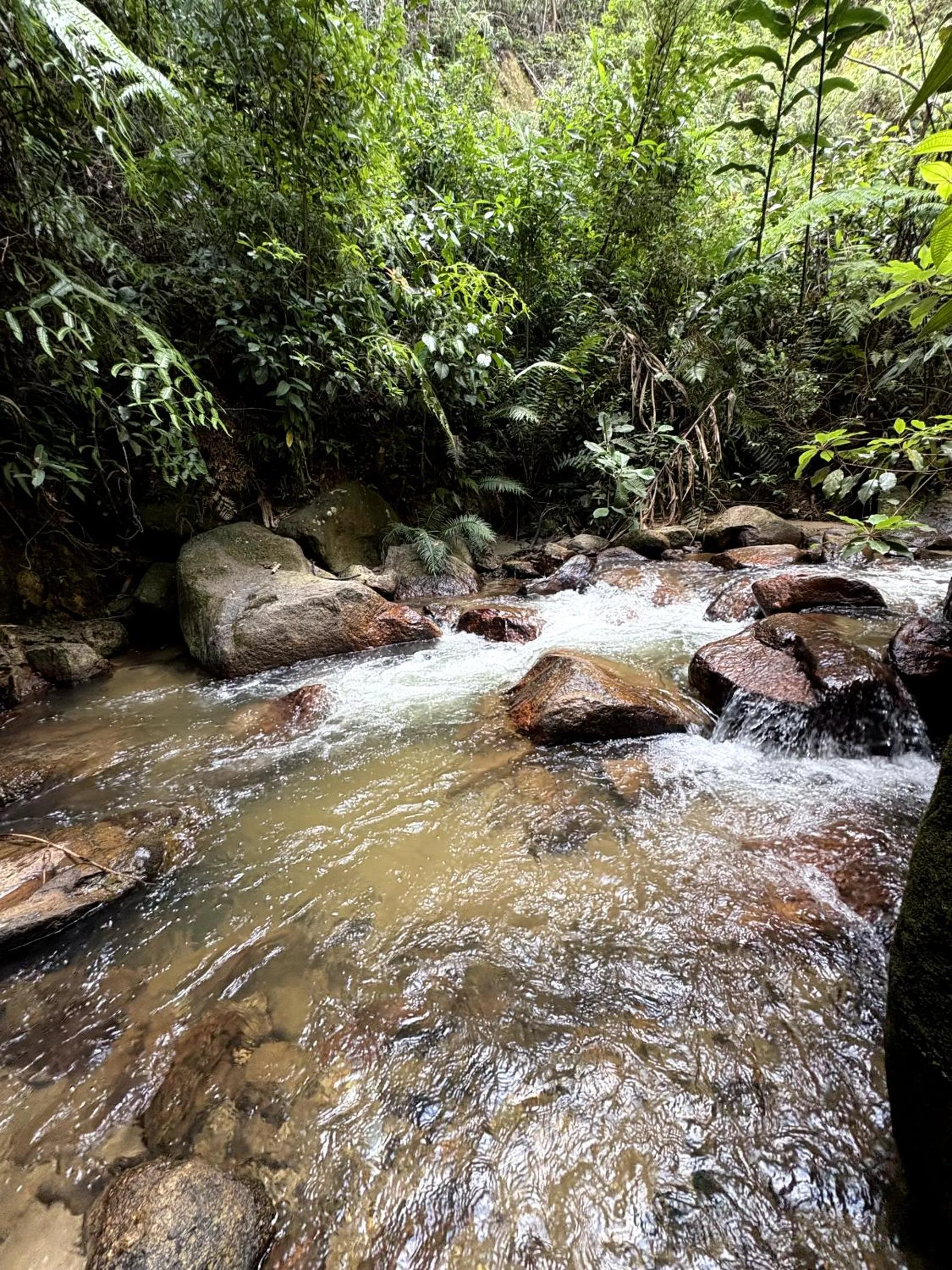 Off site in Wyndham Garden Shahzan Fraser's Hill