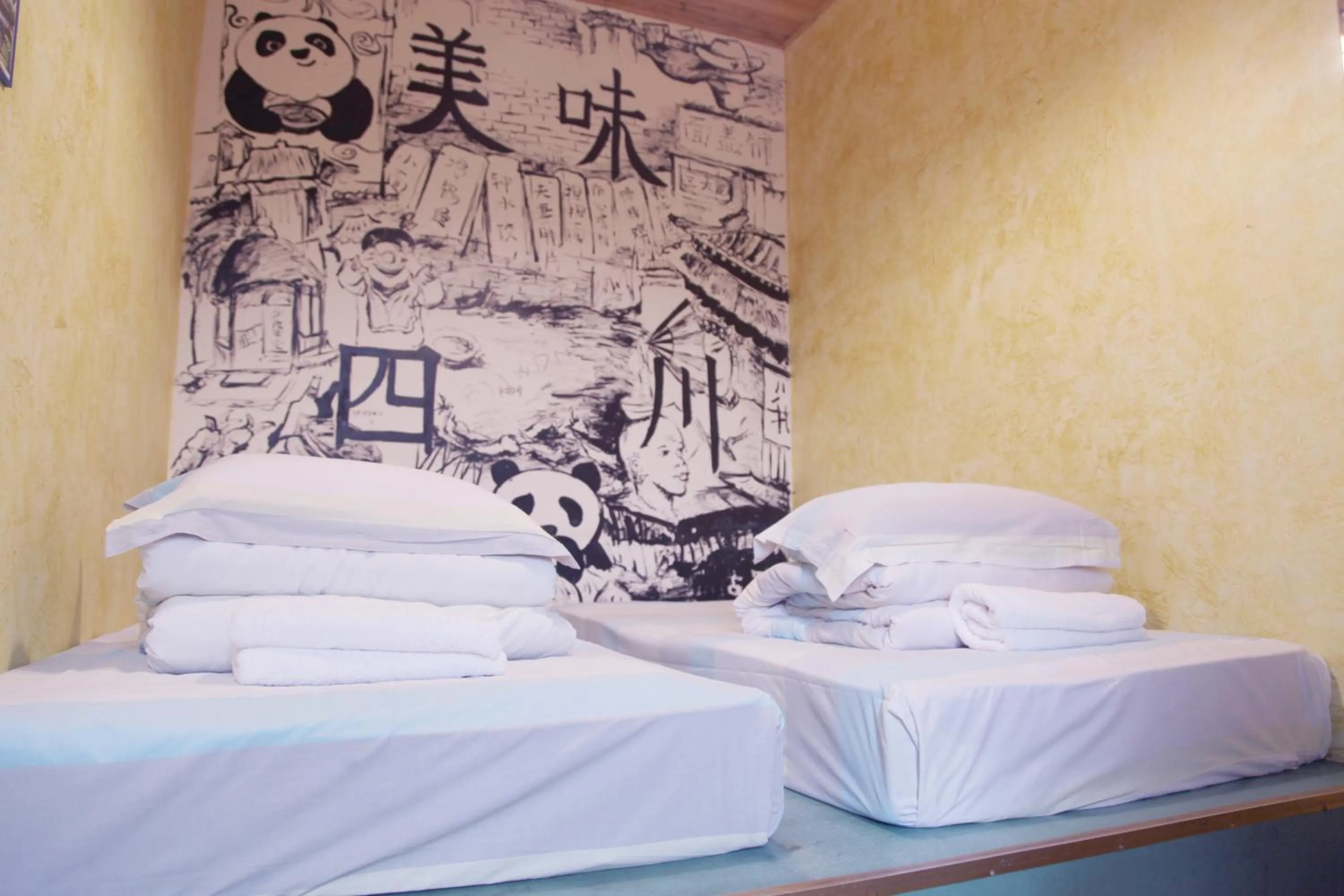 Chengdu Dreams Travel International Youth Hostel