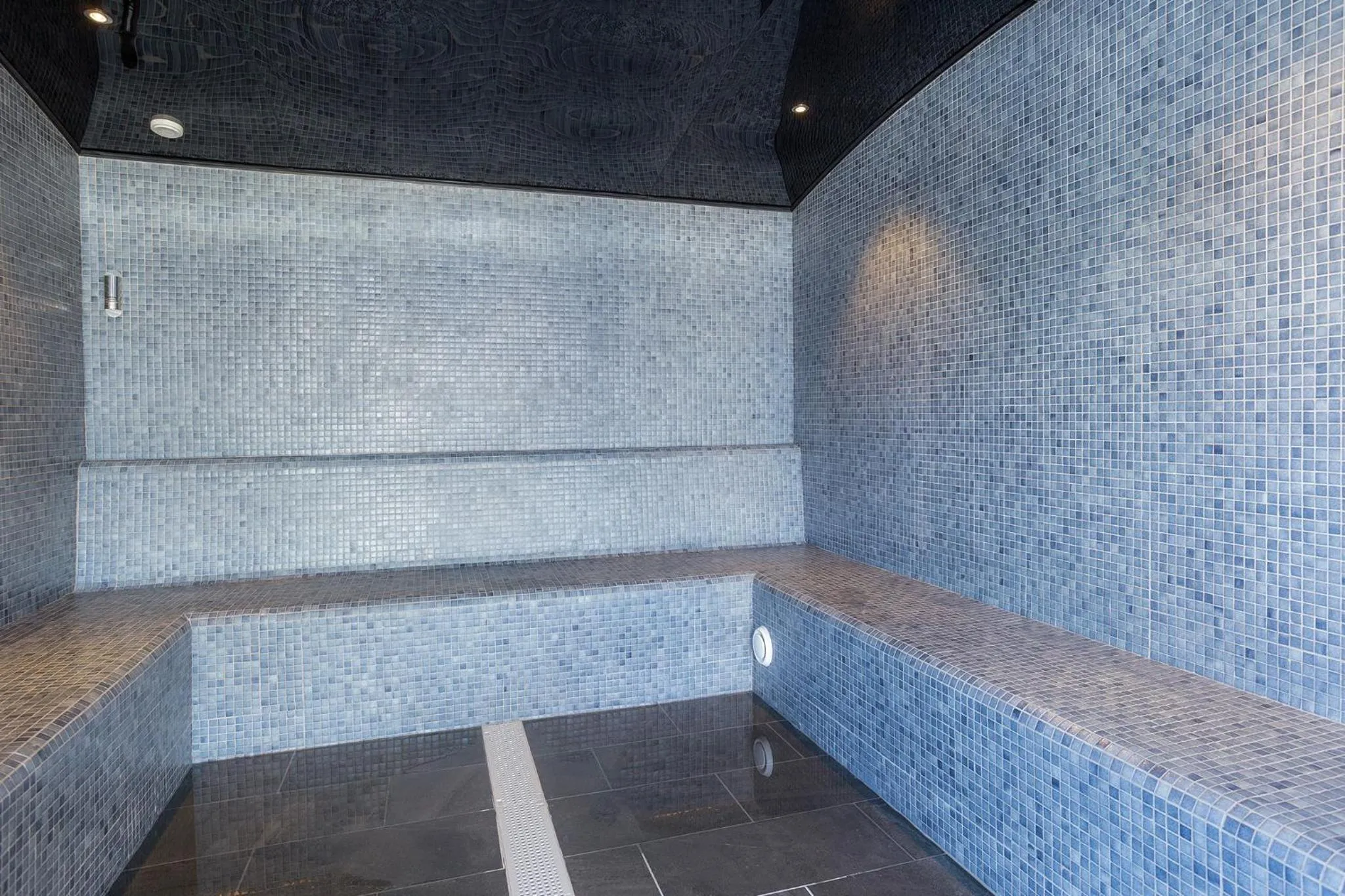 Steam room in Hôtel Alparena & Spa - 4 étoiles