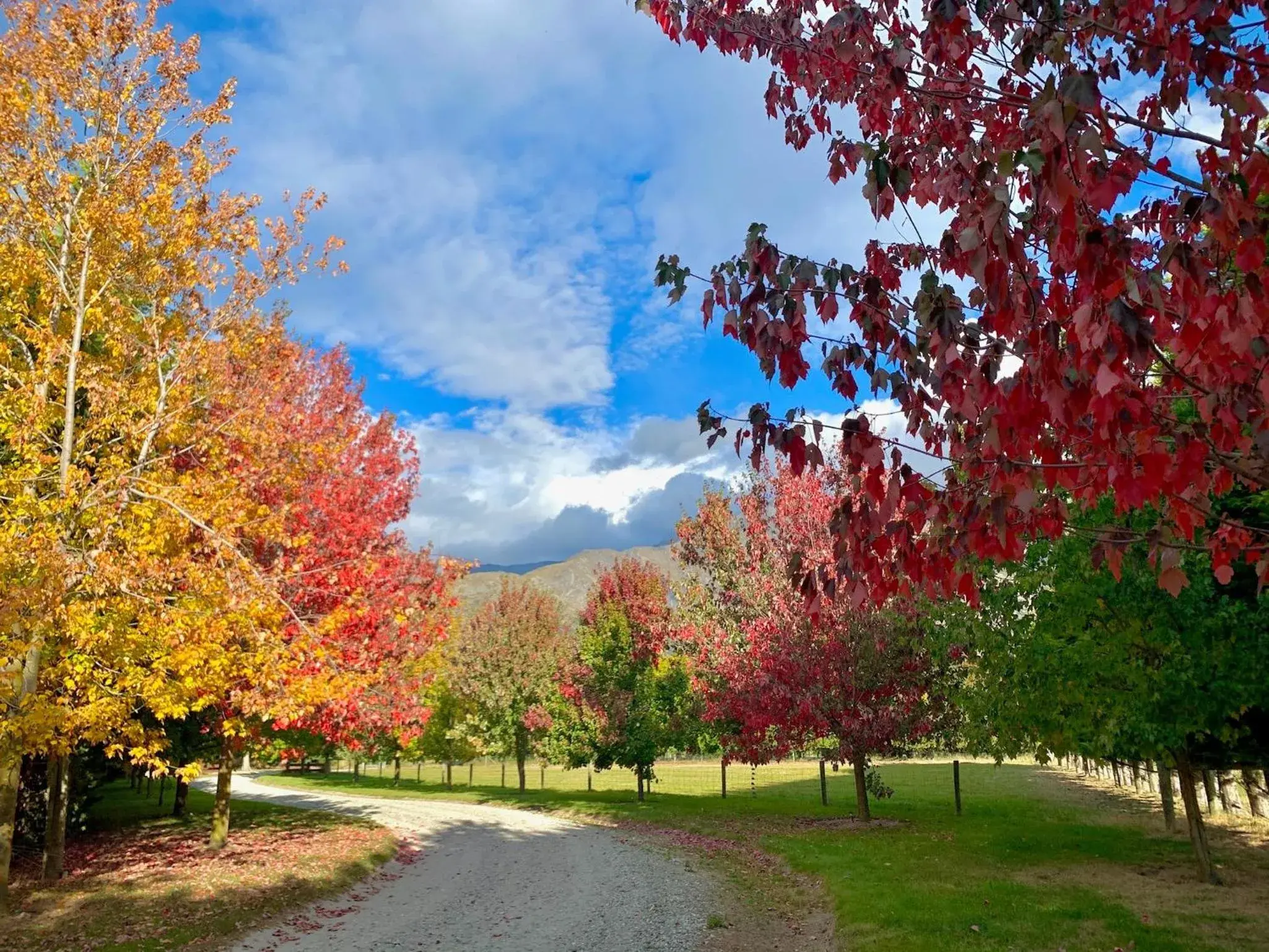 Natural landscape in Queenstown Country Lodge