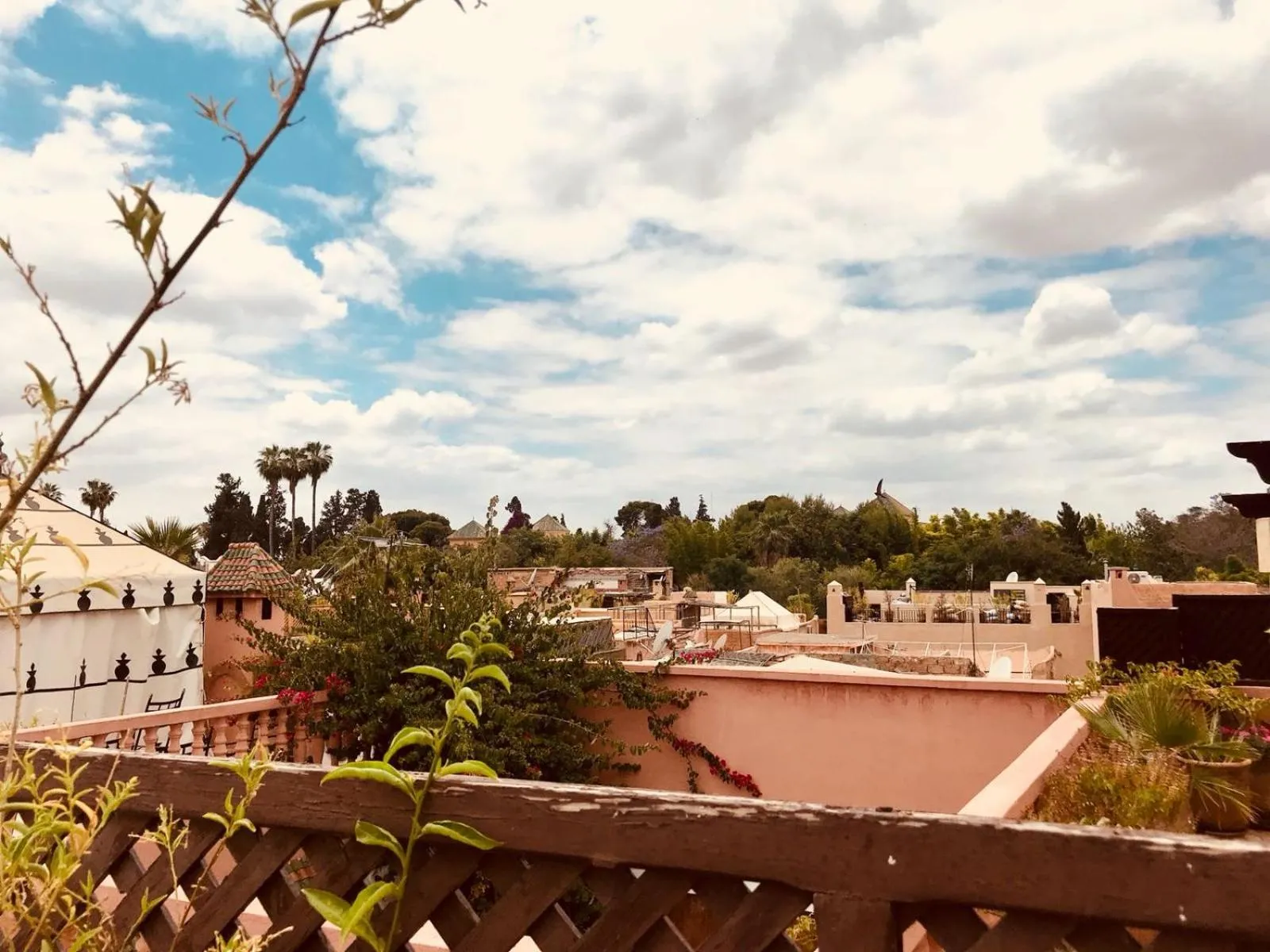 Riad AKL