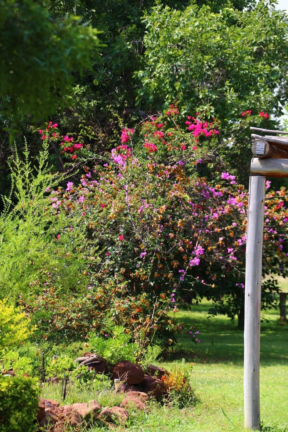 Roaring Sky Base Camp