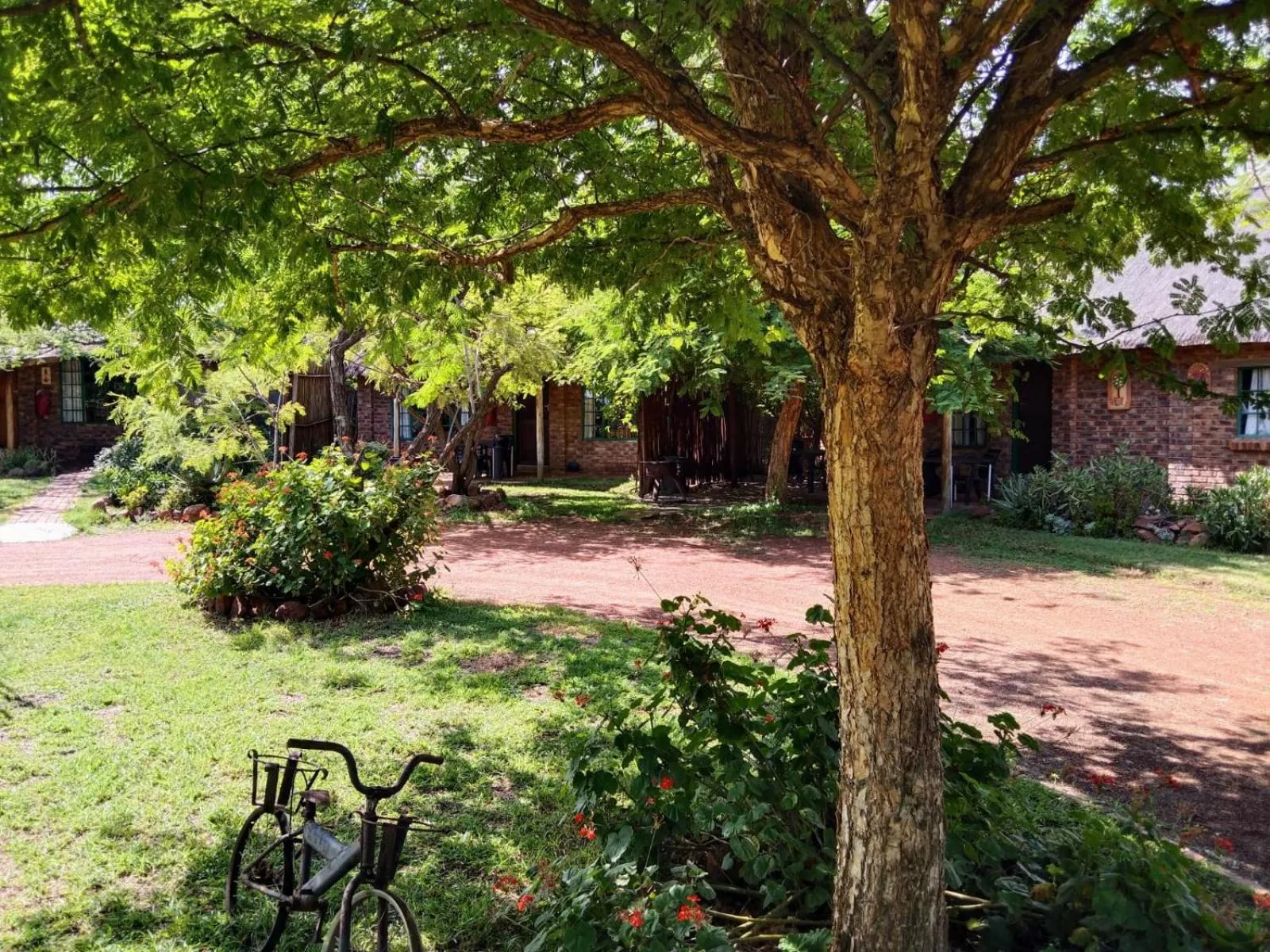 Roaring Sky Base Camp