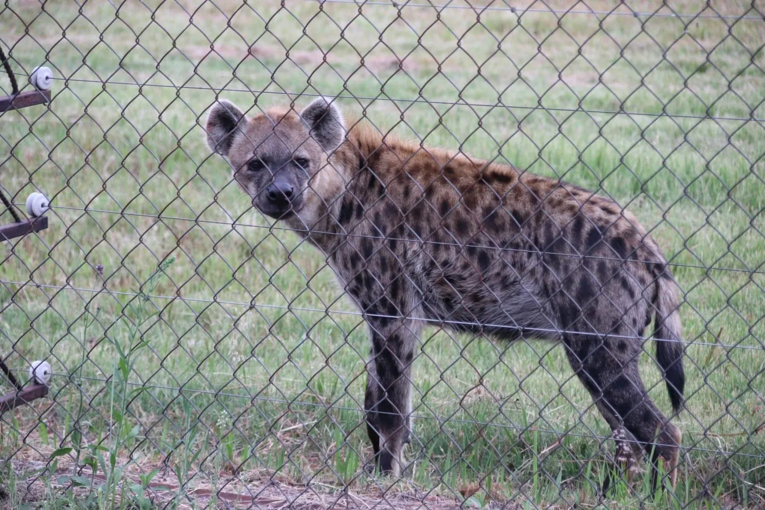 Roaring Sky Base Camp