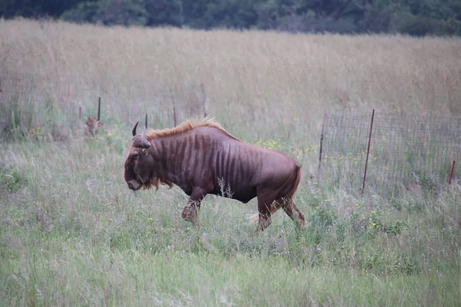 Roaring Sky Base Camp