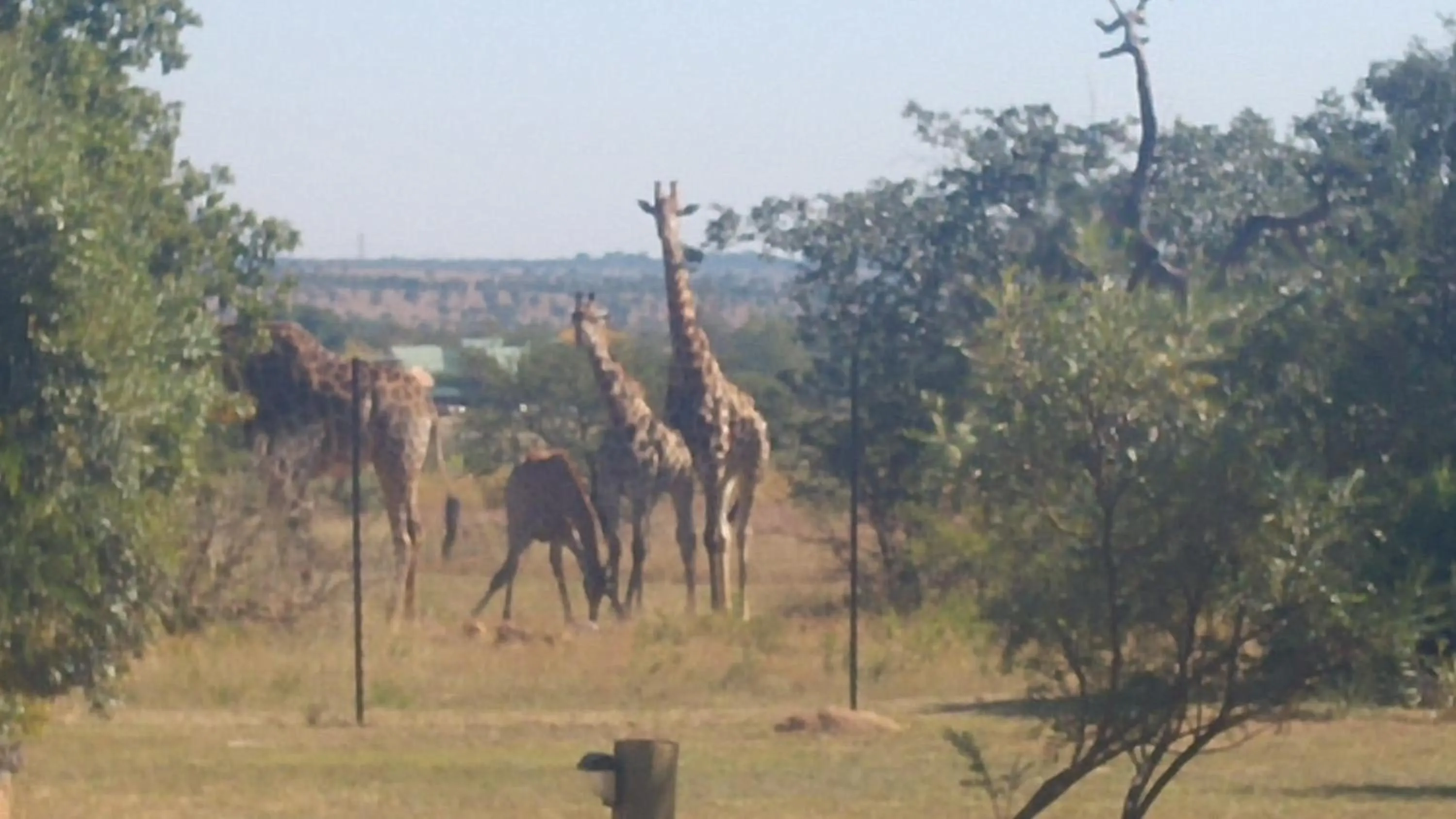 Roaring Sky Base Camp