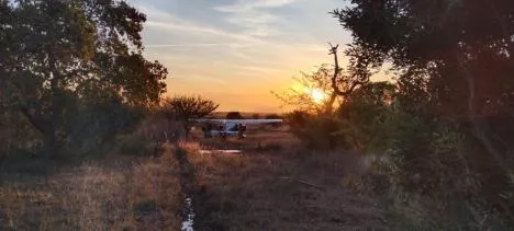 Roaring Sky Base Camp