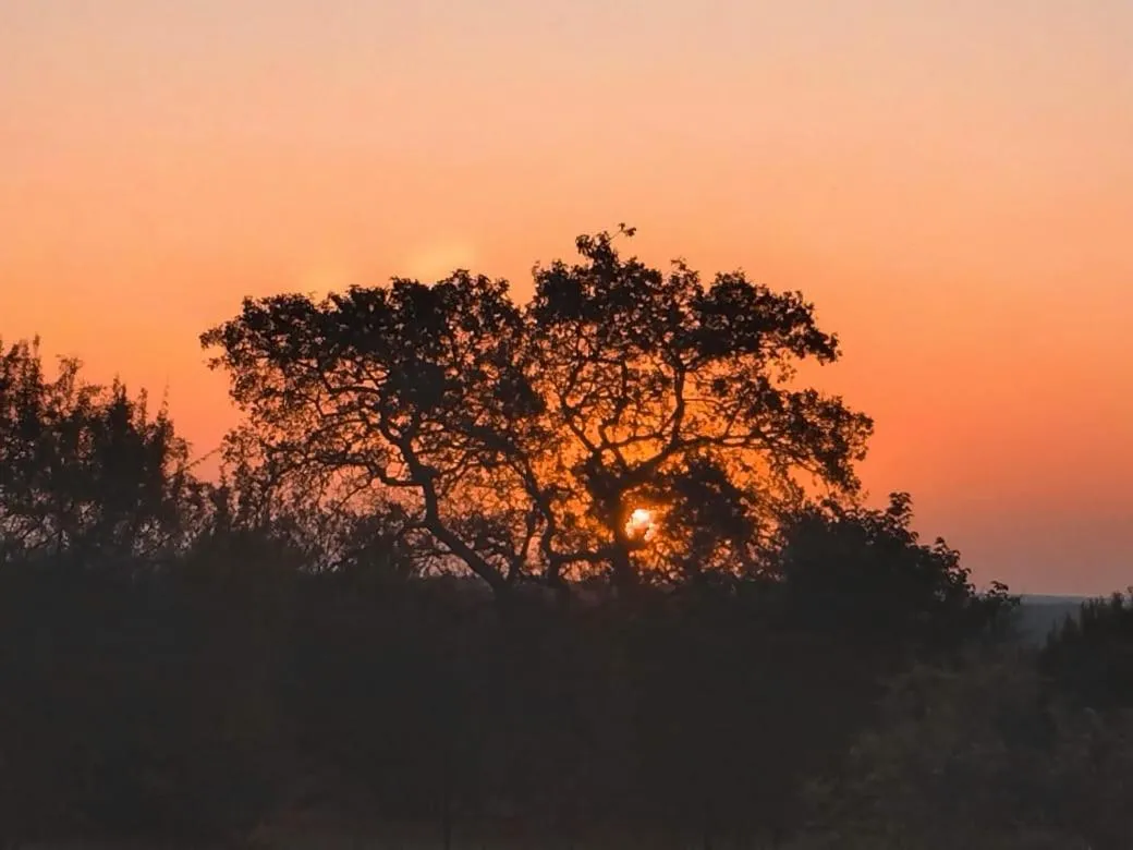 Roaring Sky Base Camp