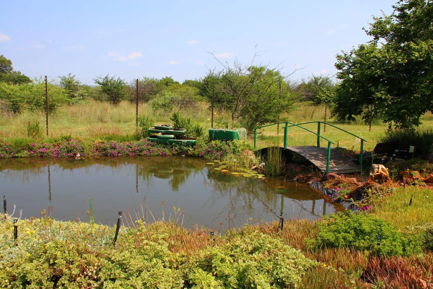 Roaring Sky Base Camp