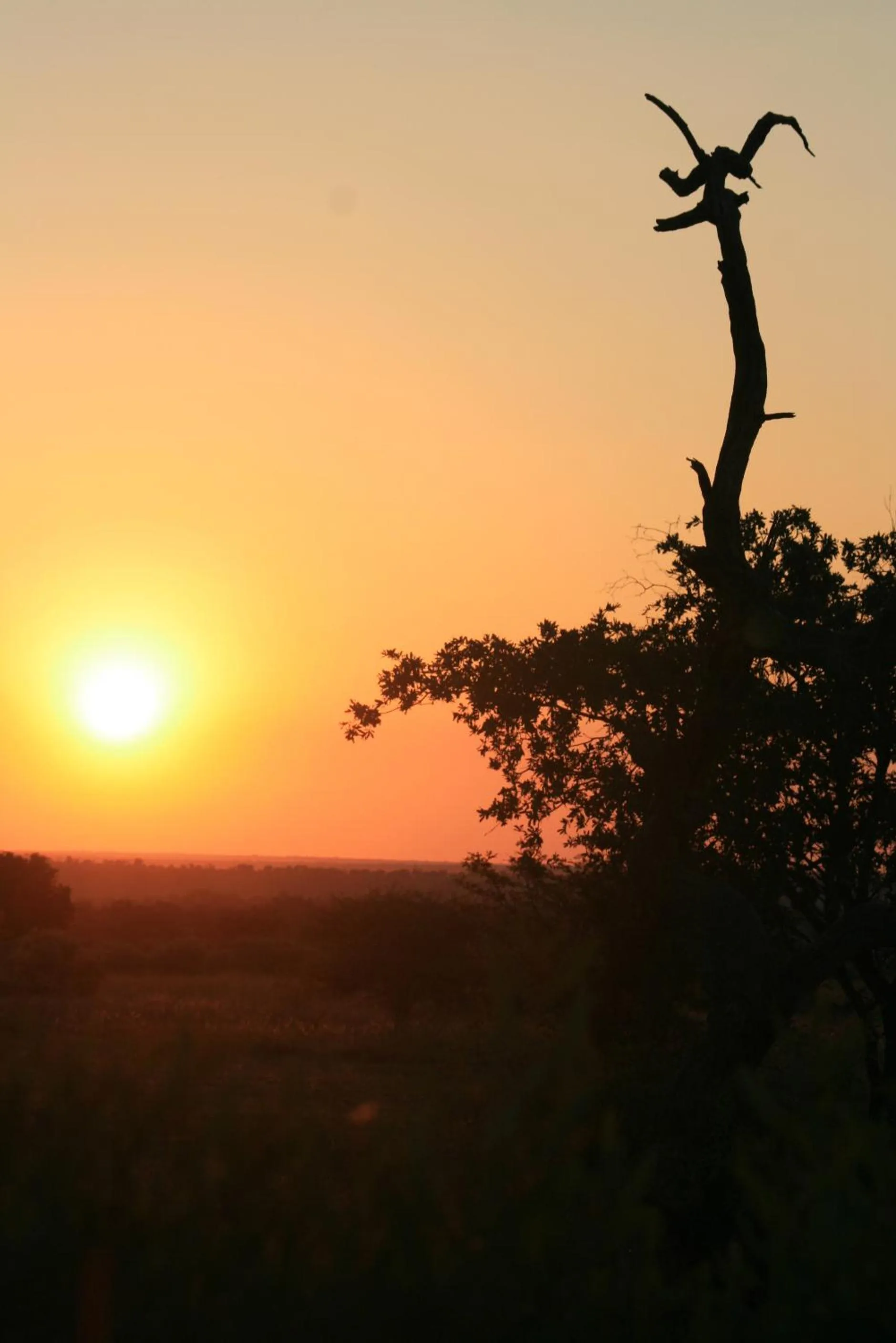 Roaring Sky Base Camp