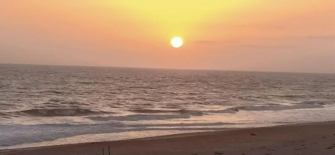 The Fern Leo Beach Resort , Madhavpur