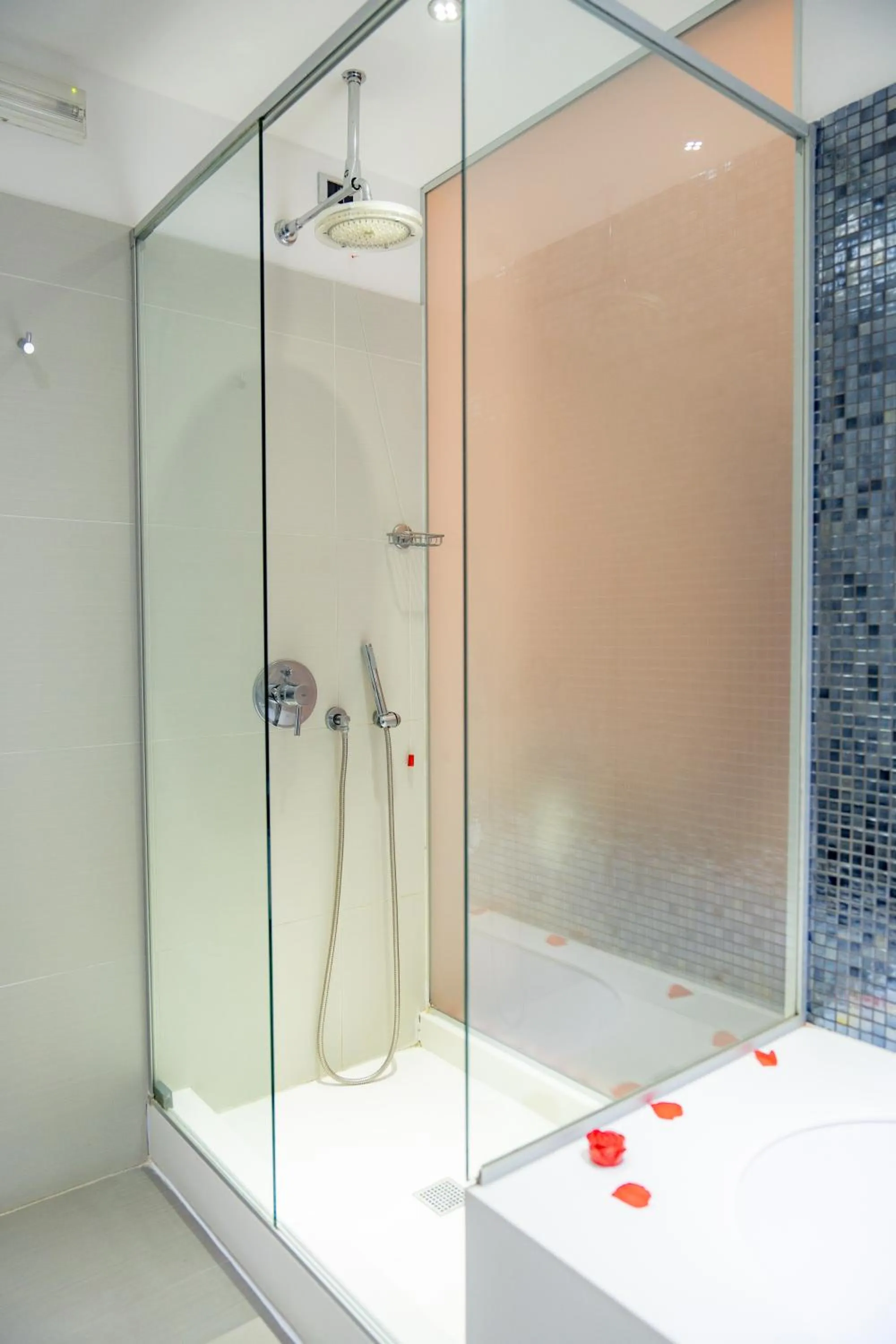 Shower in Hotel Napoleon